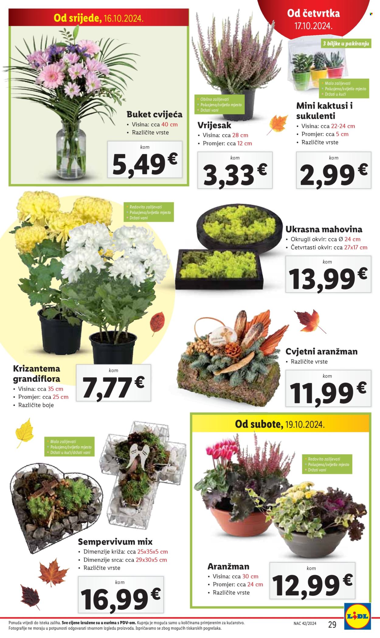 Lidl katalog - 17.10.2024. - 20.10.2024. Stranica 29