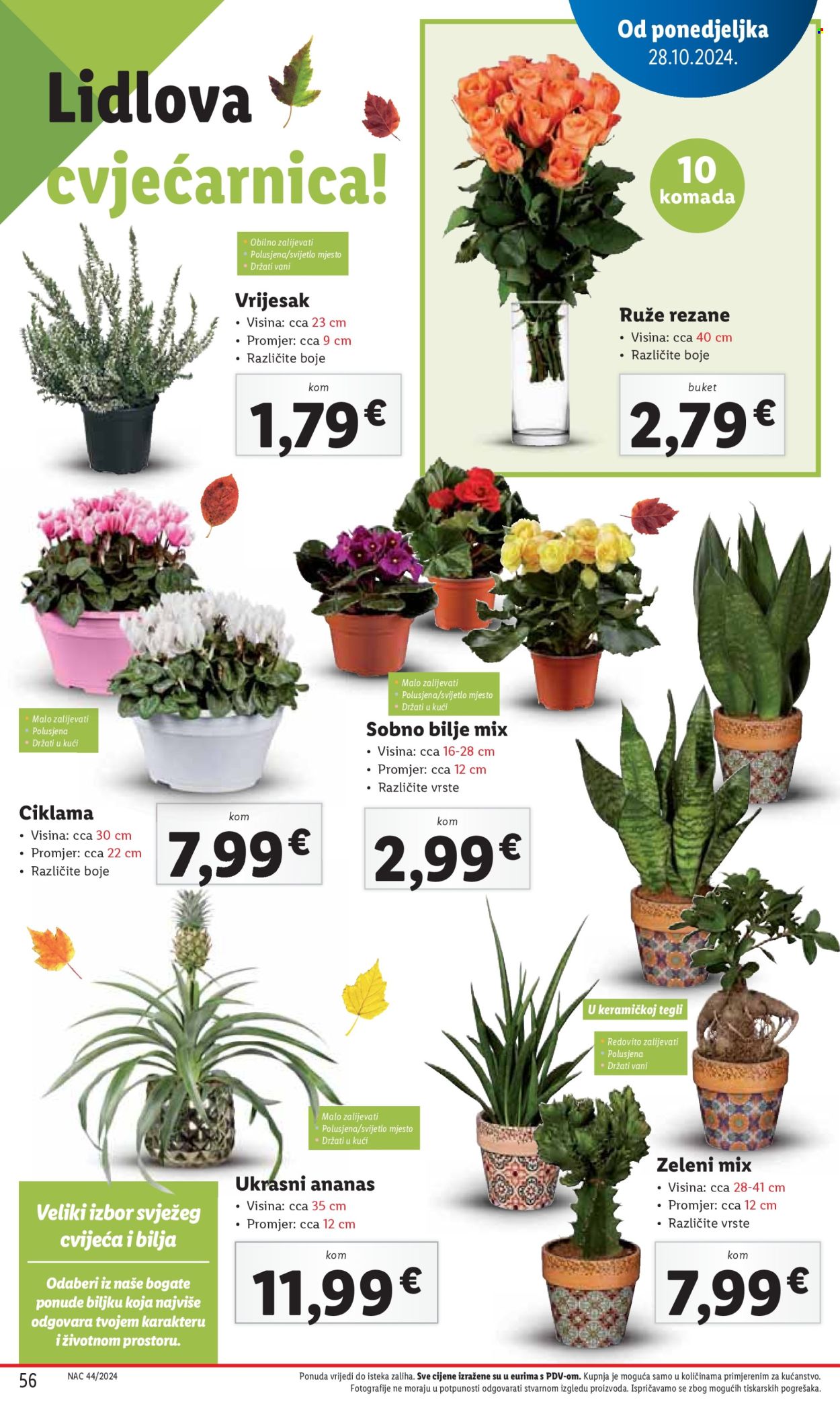 Lidl katalog - 28.10.2024. - 03.11.2024. Stranica 56