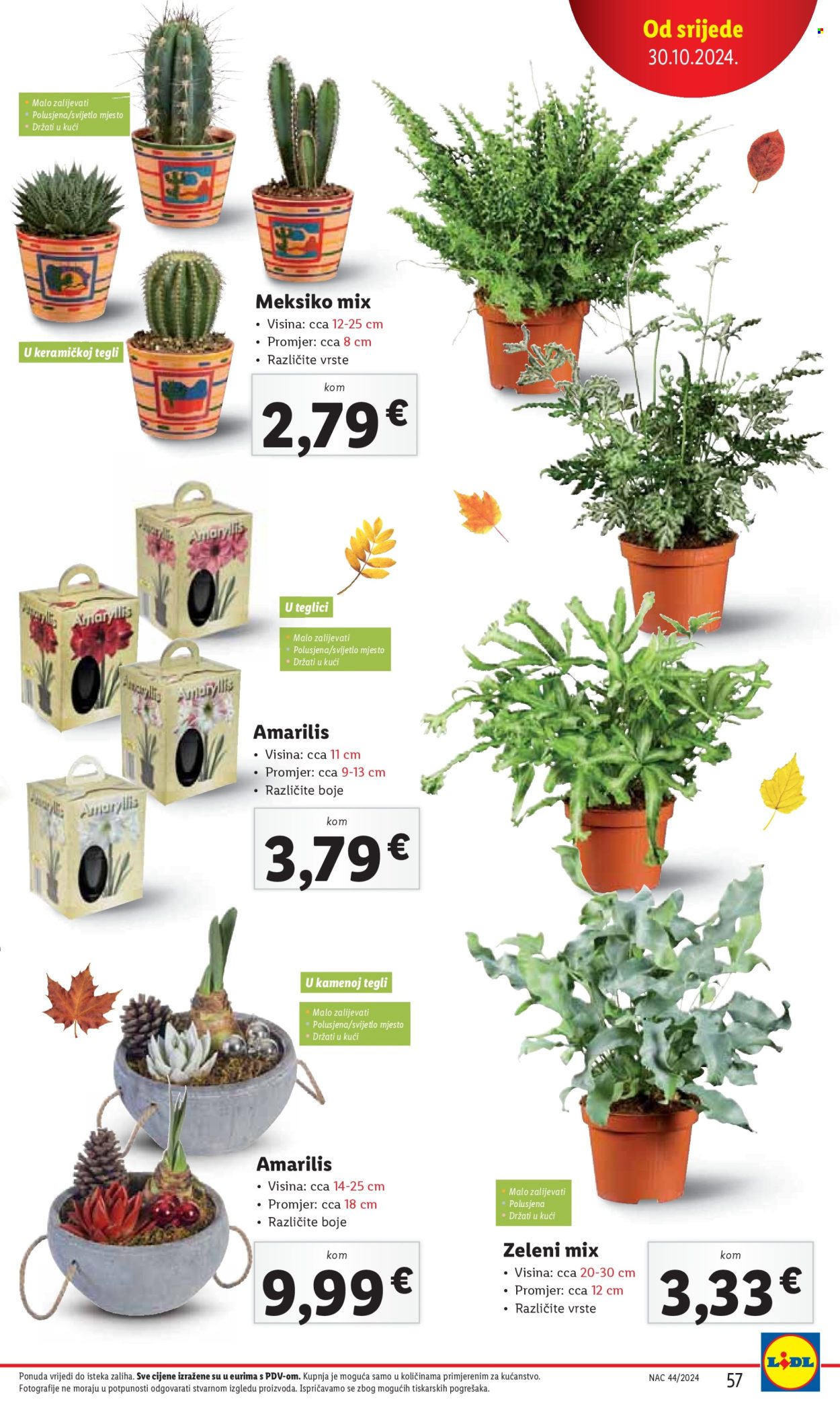 Lidl katalog - 28.10.2024. - 03.11.2024. Stranica 57