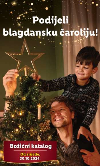 Lidl katalog