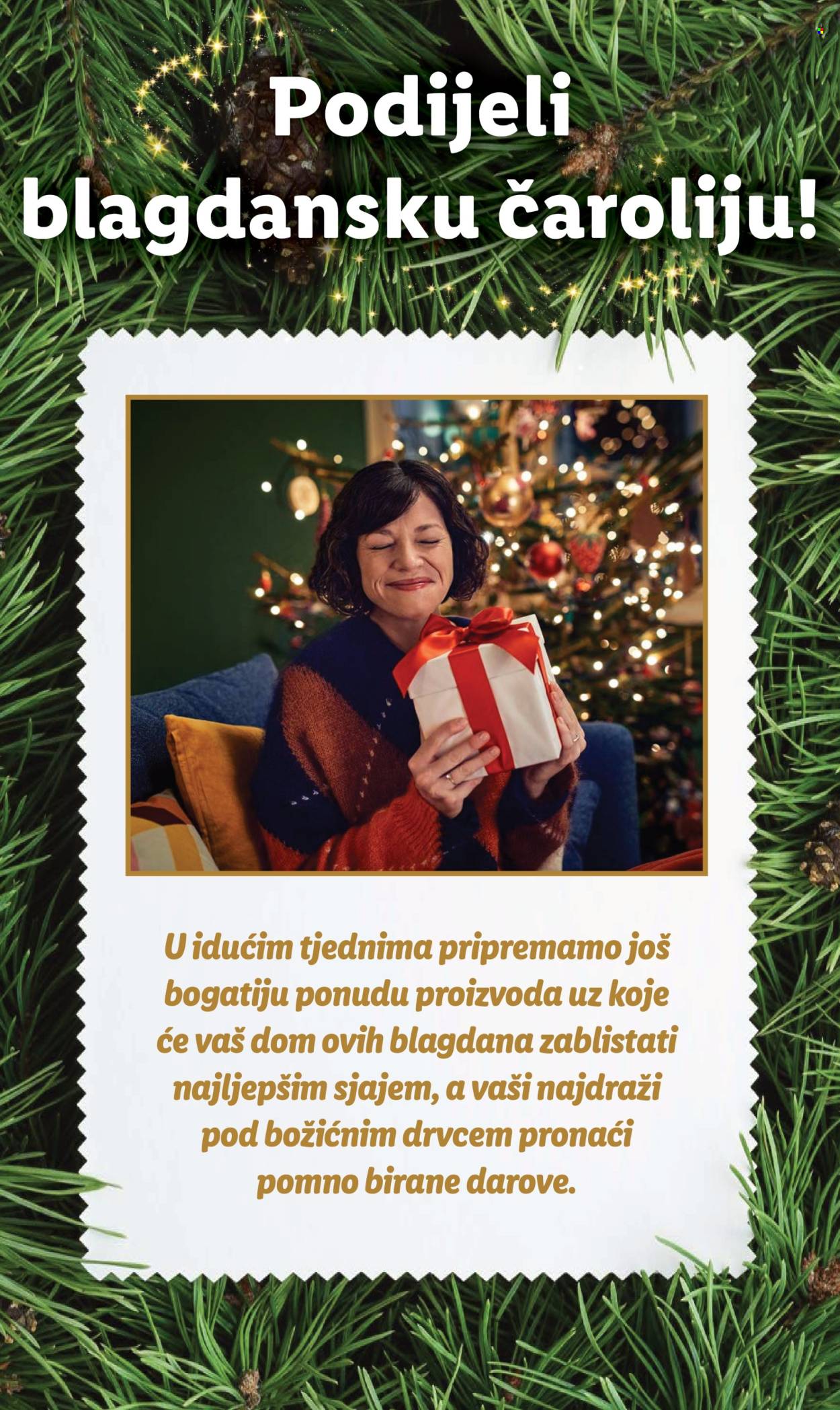 Lidl katalog Stranica 26