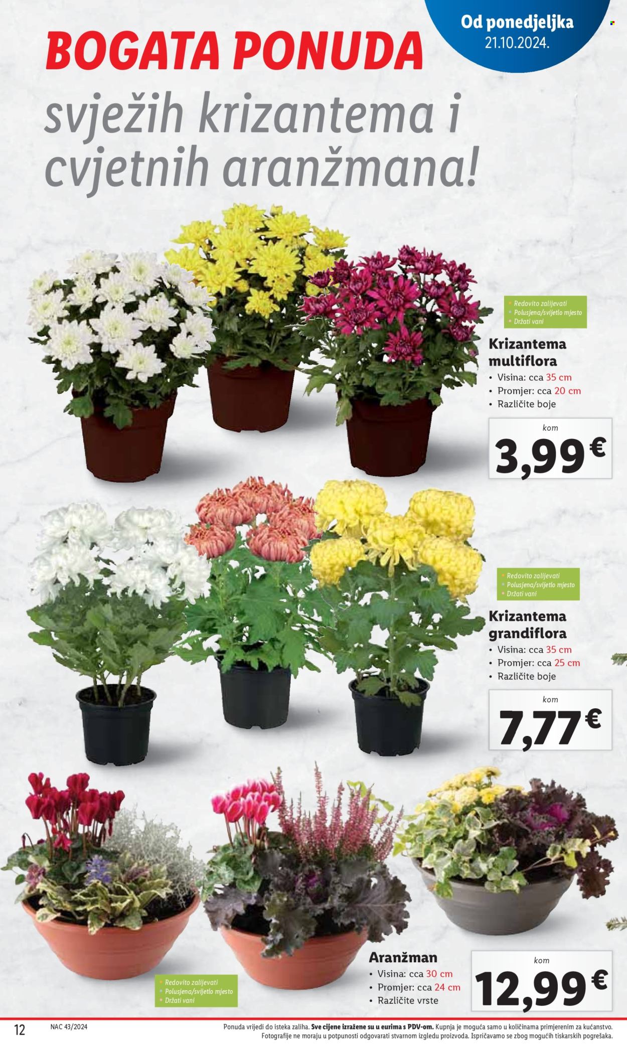 Lidl katalog - 24.10.2024. - 27.10.2024. Stranica 12