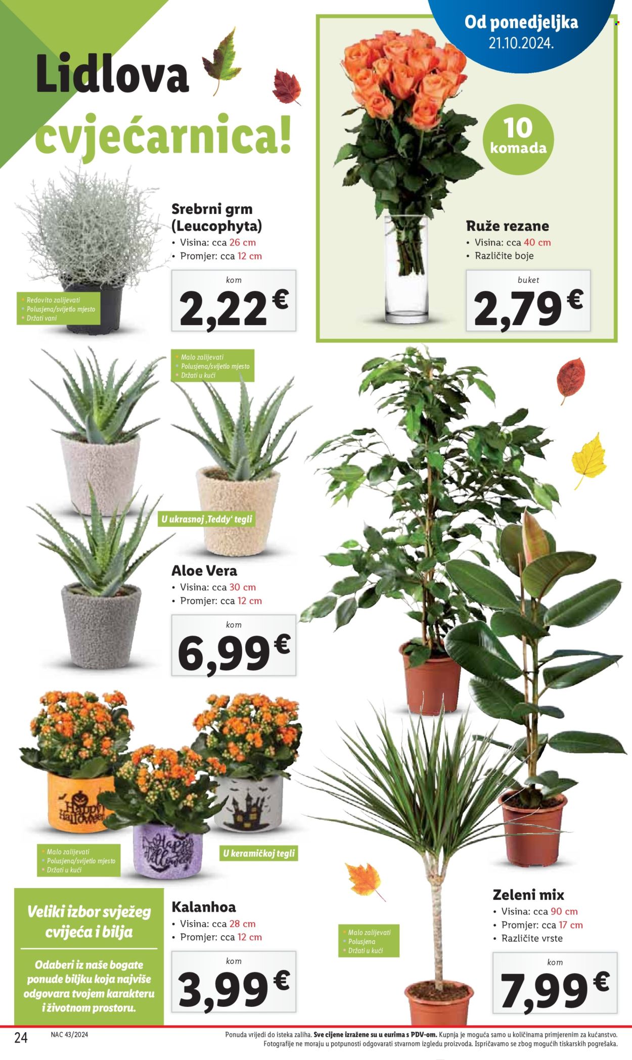 Lidl katalog - 24.10.2024. - 27.10.2024. Stranica 24