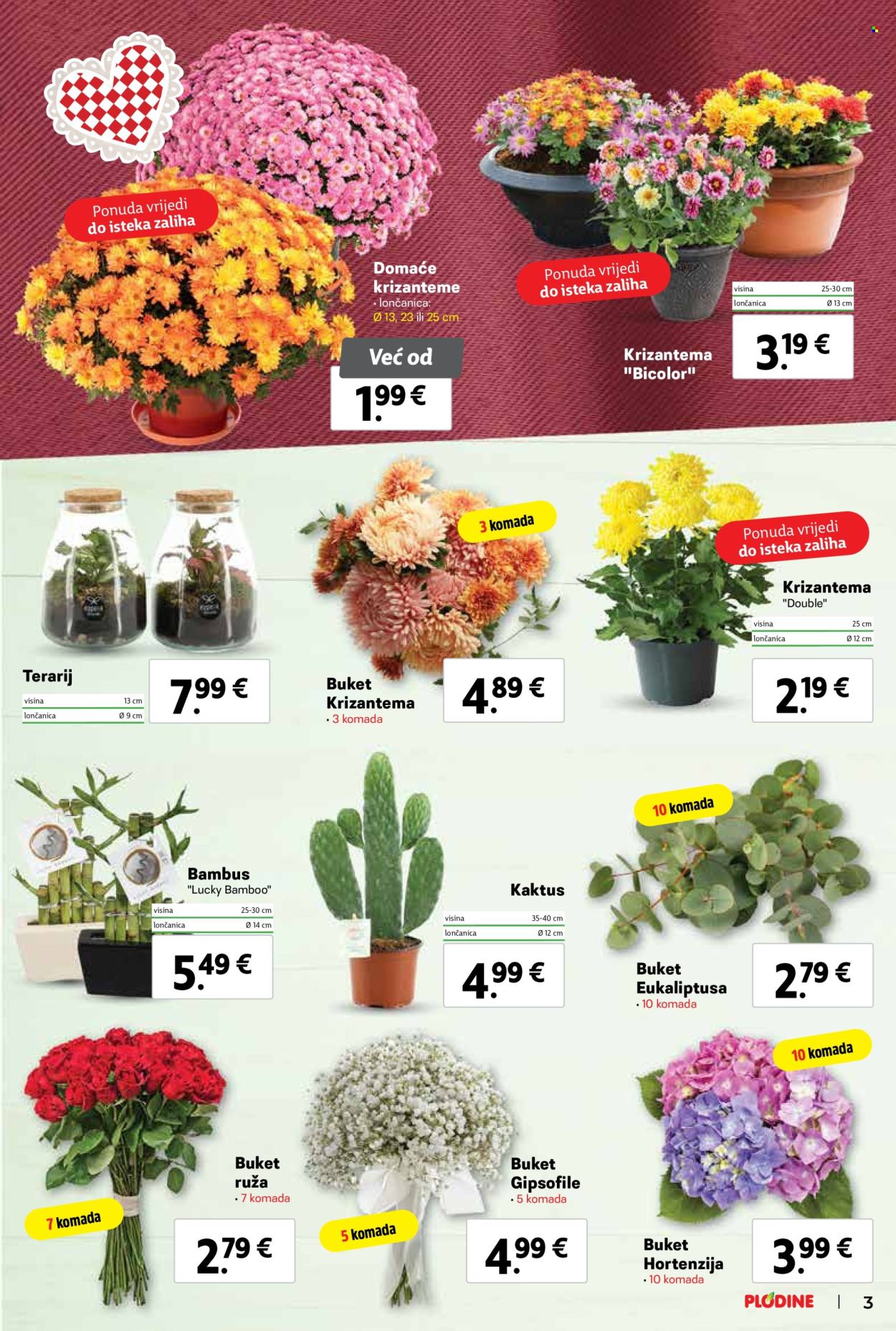 Plodine katalog - 30.10.2024. - 05.11.2024. Stranica 3