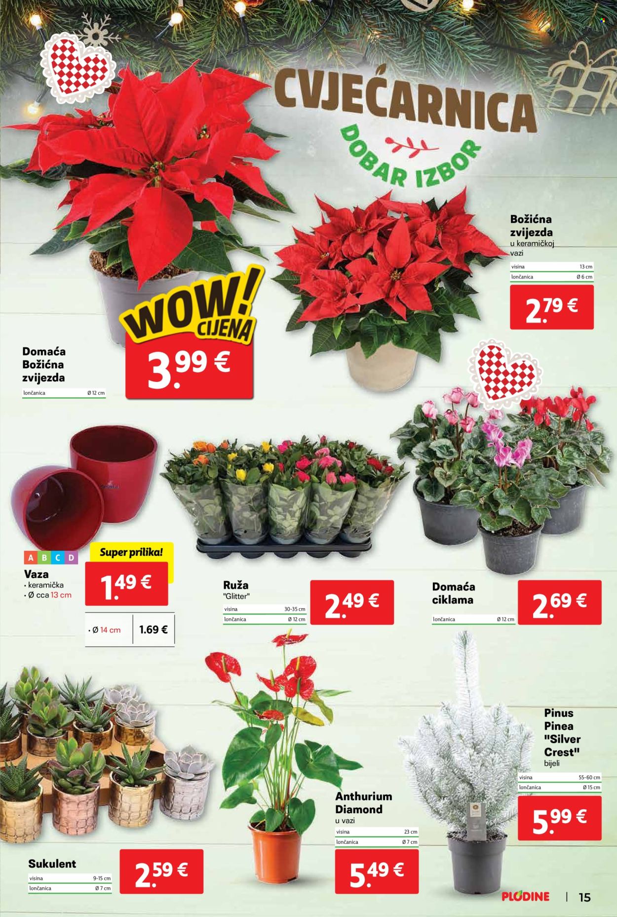 Plodine katalog - 20.11.2024. - 26.11.2024. Stranica 15