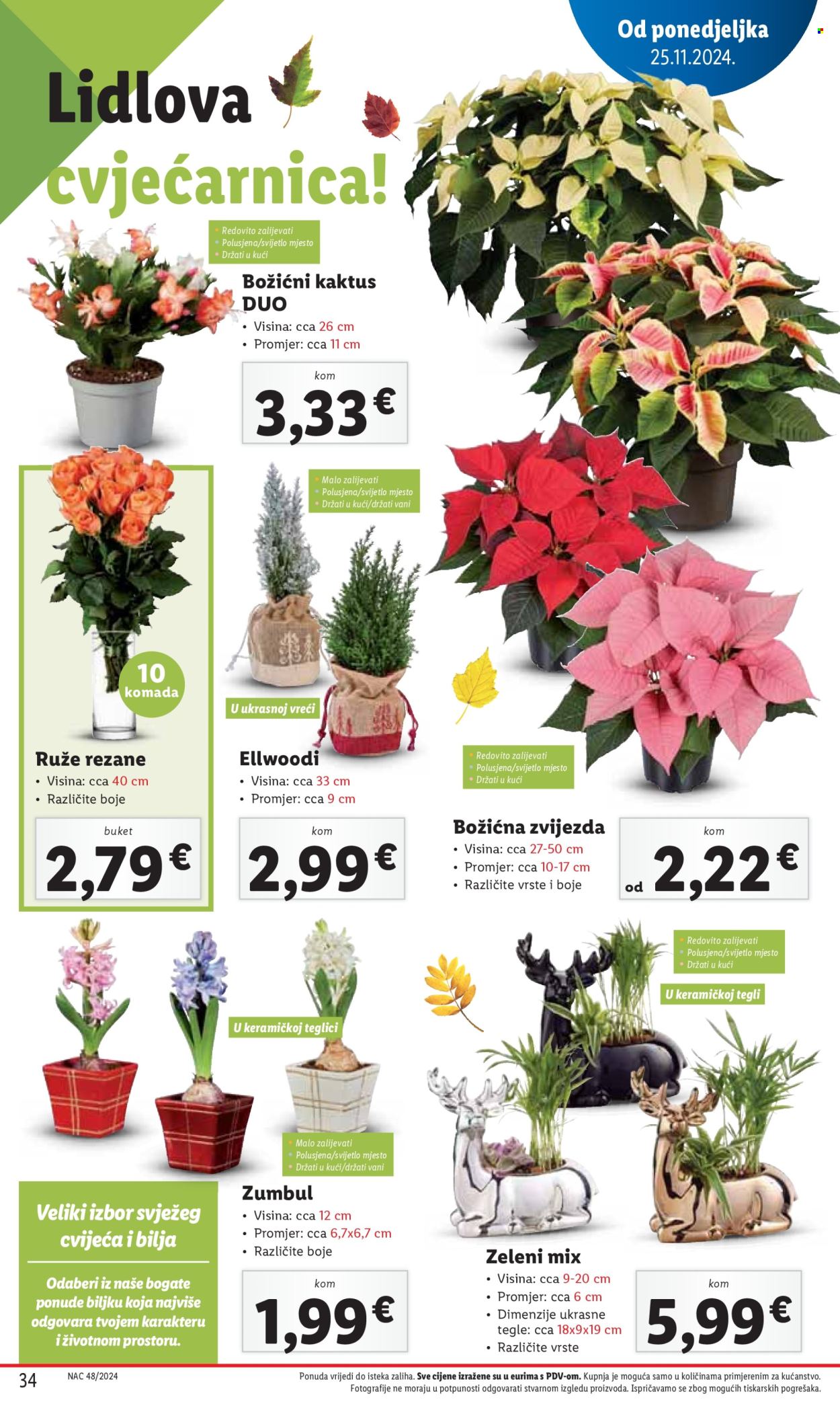 Lidl katalog - 28.11.2024. - 01.12.2024. Stranica 34