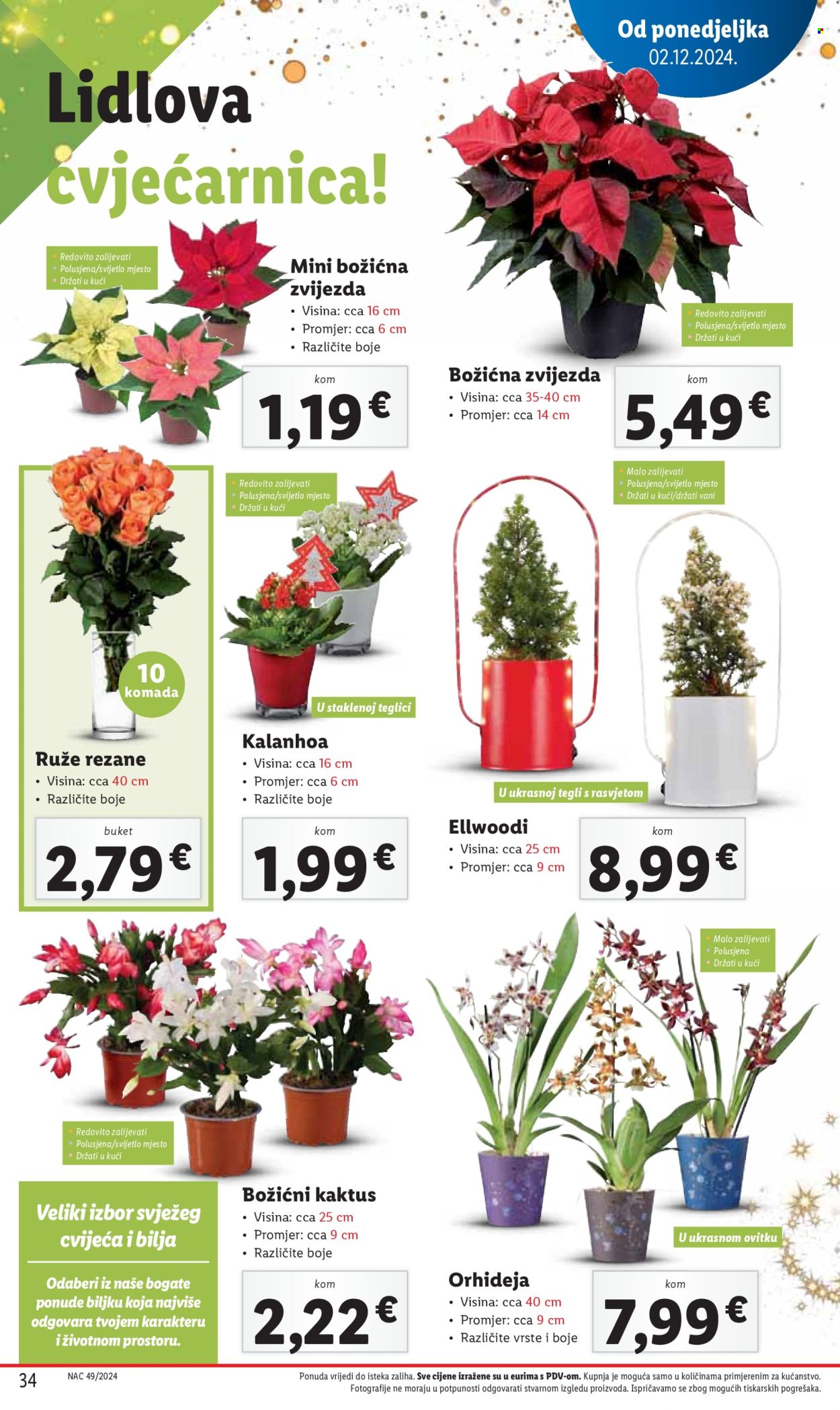 Lidl katalog - 05.12.2024. - 08.12.2024. Stranica 34