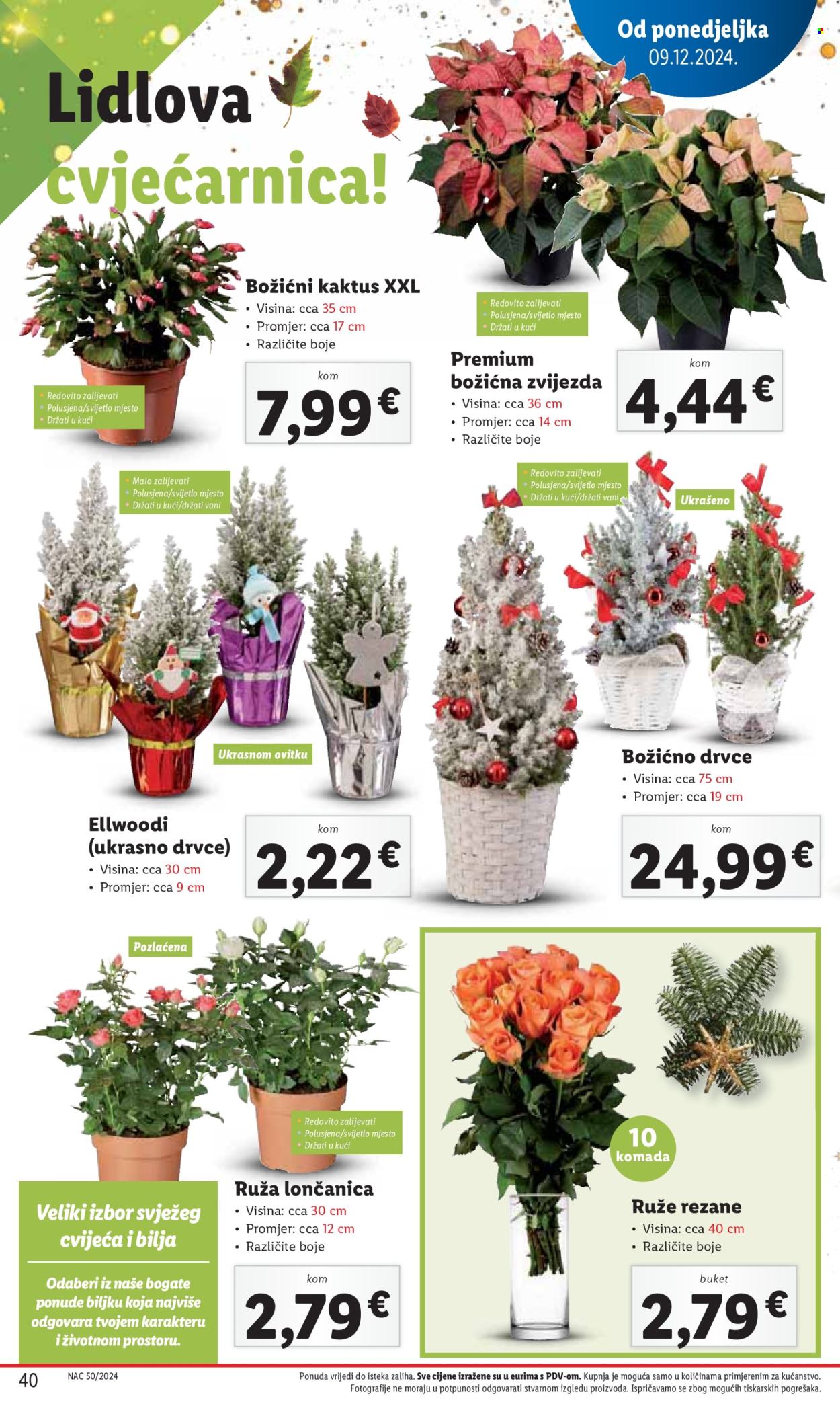 Lidl katalog - 12.12.2024. - 15.12.2024. Stranica 40