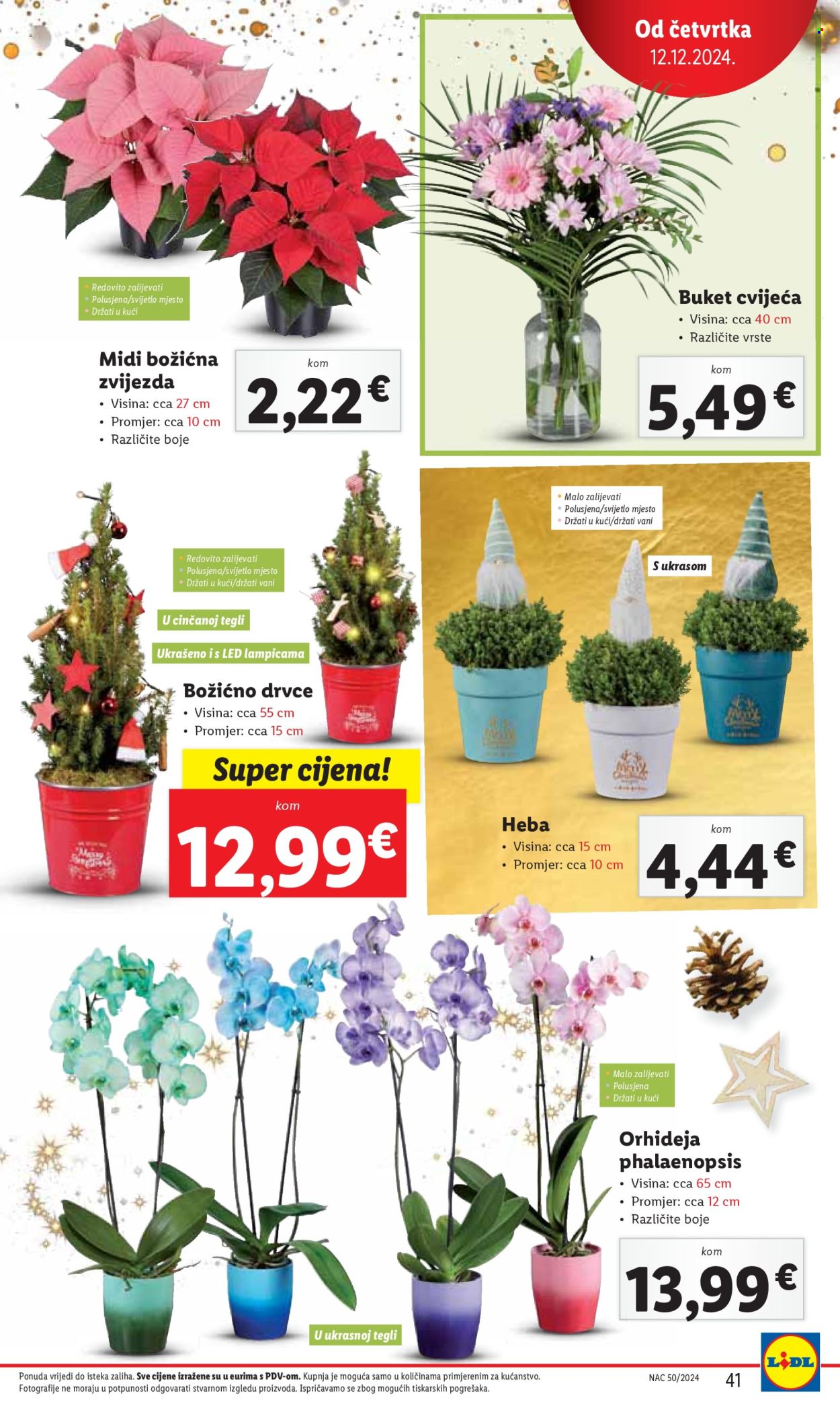 Lidl katalog - 12.12.2024. - 15.12.2024. Stranica 41