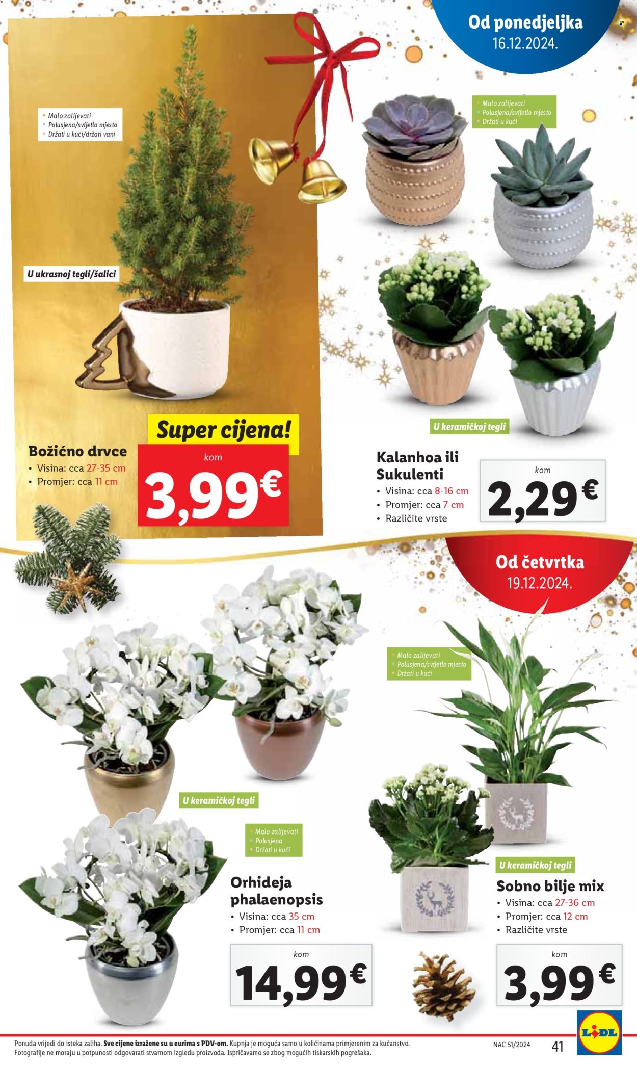 Lidl katalog - 16.12.2024. - 24.12.2024. Stranica 41
