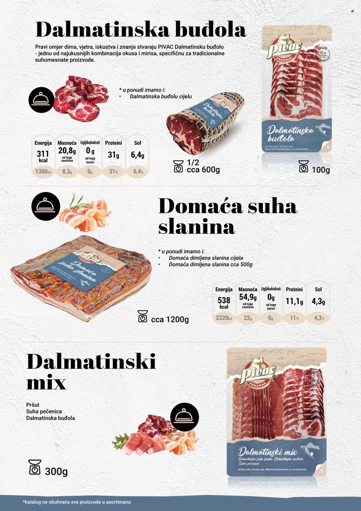 Pivac katalog - 01.12.2024. - 31.12.2025. Stranica 1