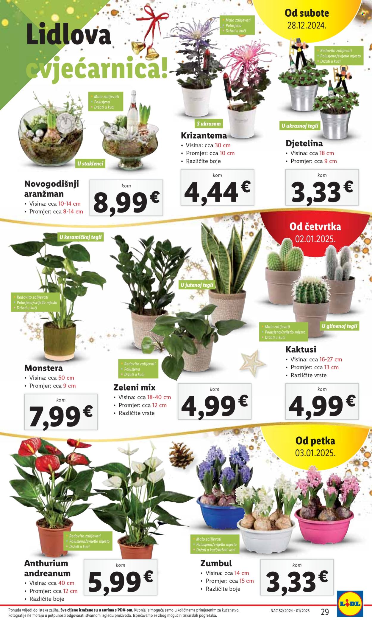 Lidl katalog - 27.12.2024. - 05.01.2025. Stranica 29