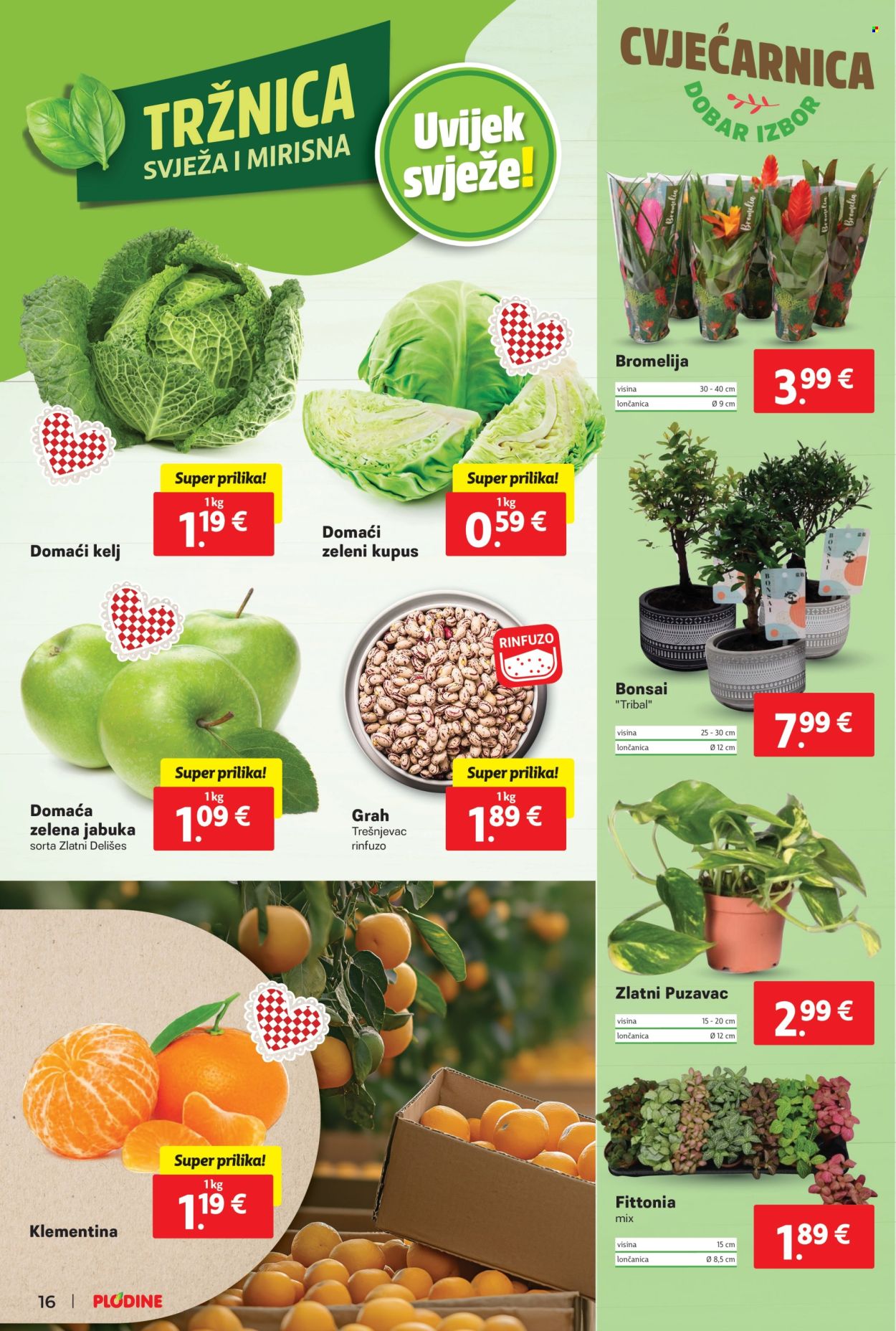 Plodine katalog - 08.01.2025. - 14.01.2025. Stranica 16