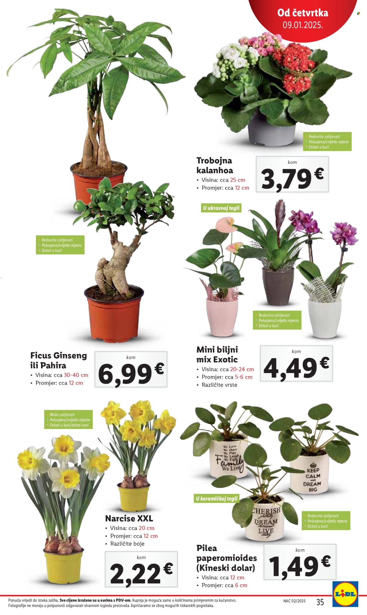 Lidl katalog - 09.01.2025. - 11.01.2025. Stranica 35