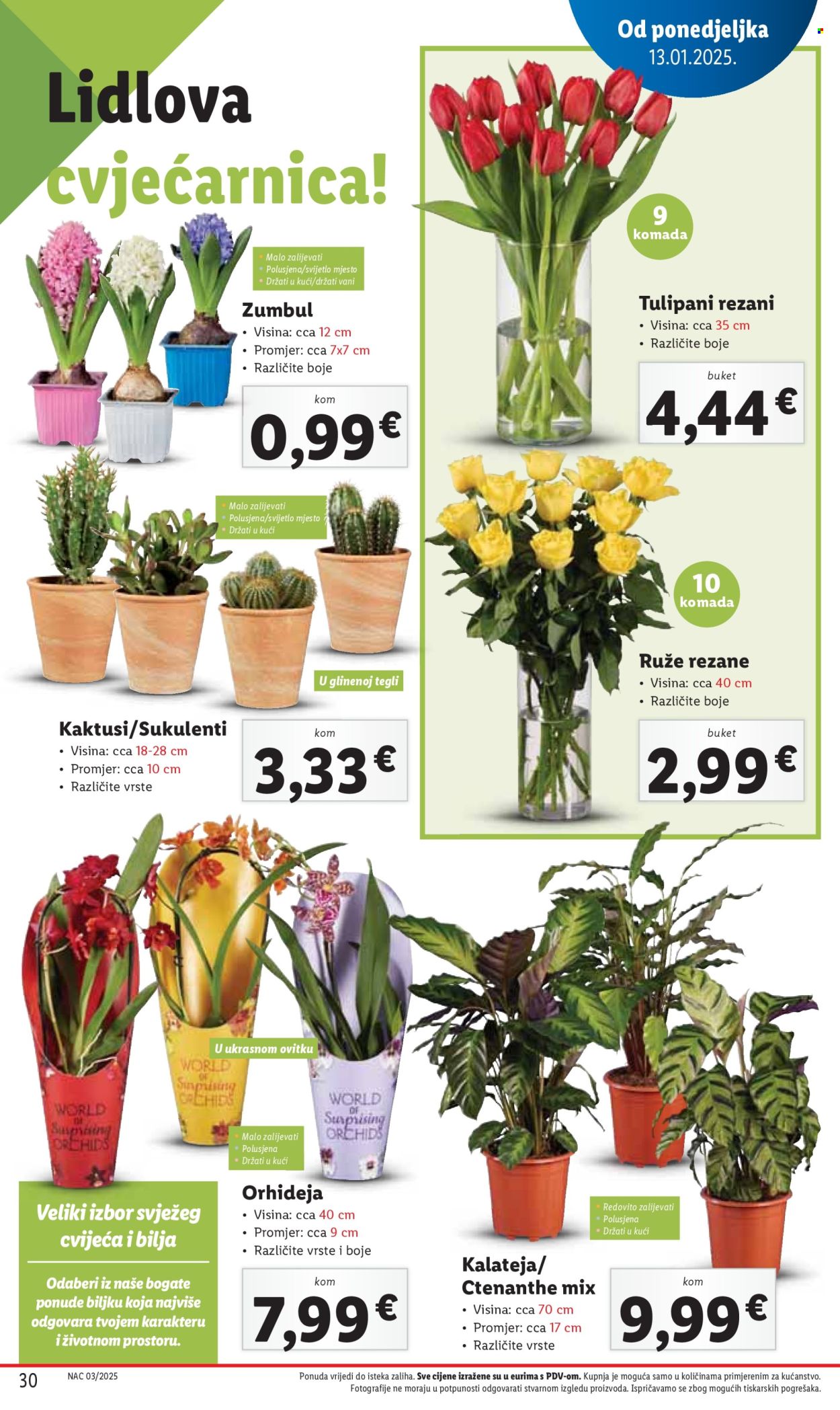 Lidl katalog - 16.01.2025. - 18.01.2025. Stranica 30