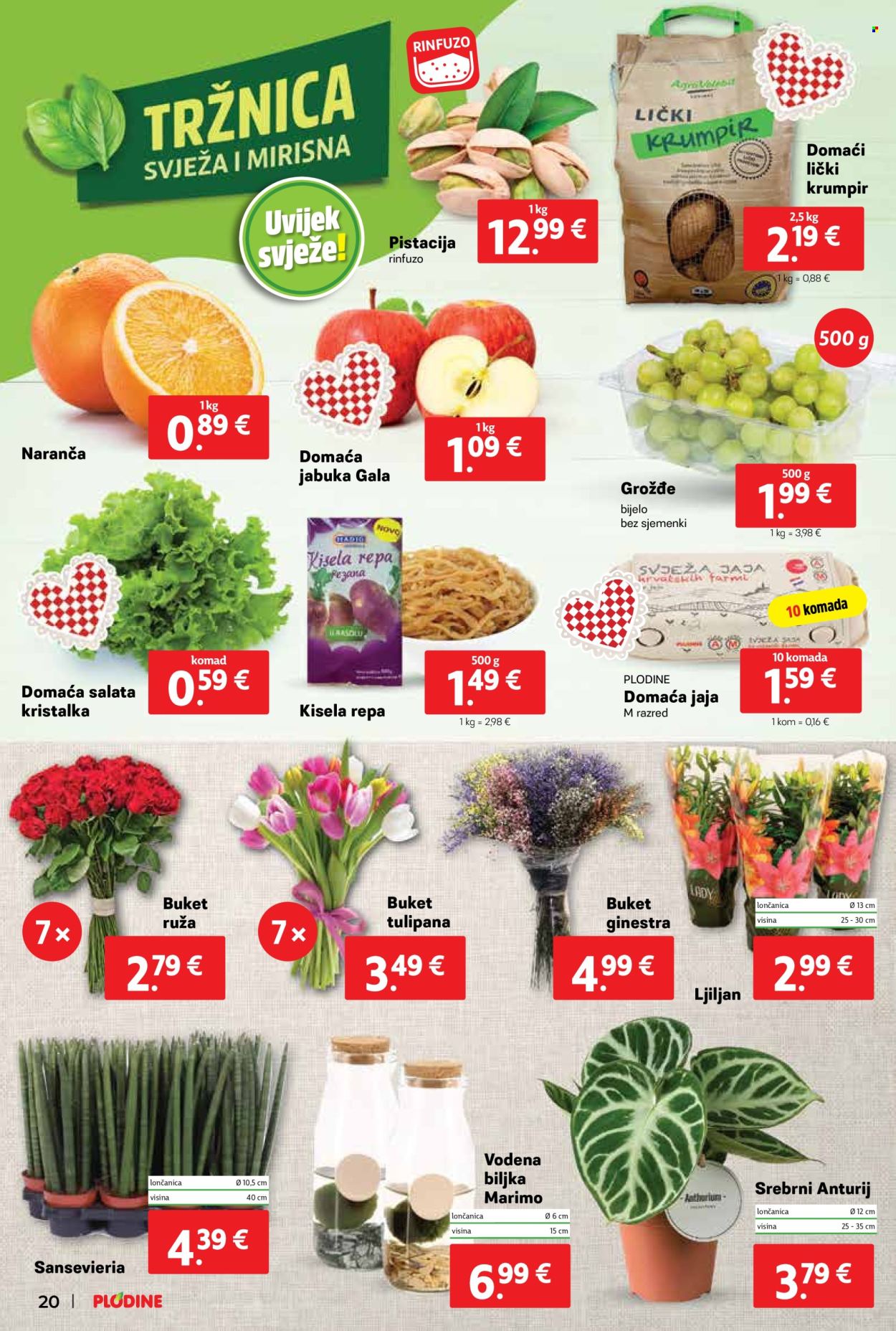 Plodine katalog - 22.01.2025. - 28.01.2025. Stranica 20