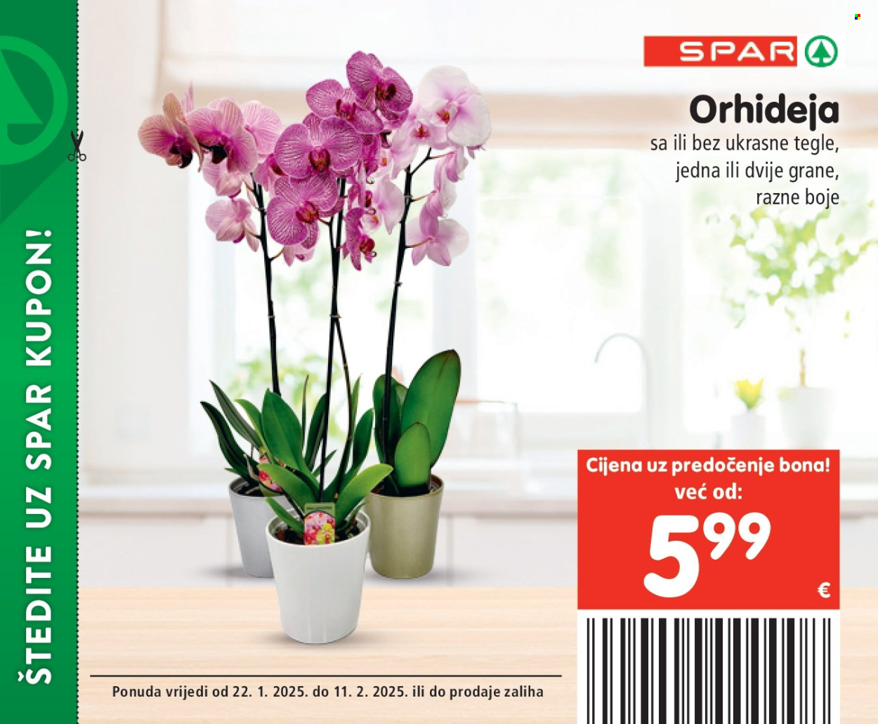 SPAR katalog - 22.01.2025. - 11.02.2025. Stranica 31