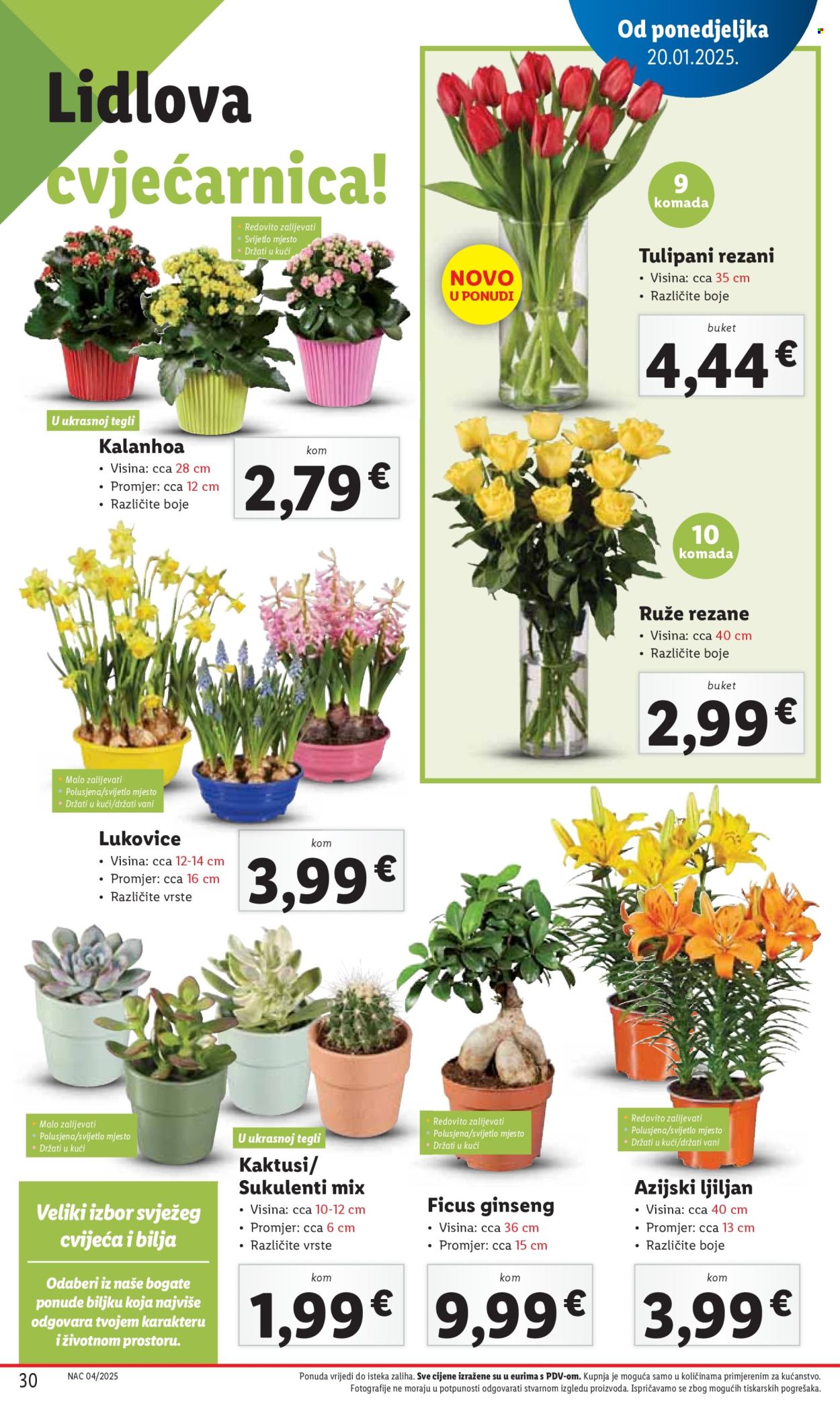 Lidl katalog - 23.01.2025. - 25.01.2025. Stranica 30