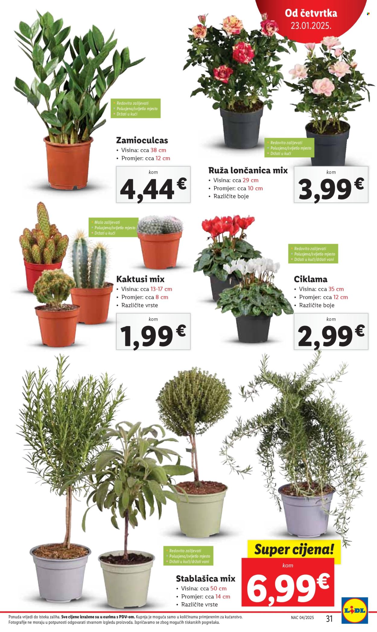 Lidl katalog - 23.01.2025. - 25.01.2025. Stranica 31