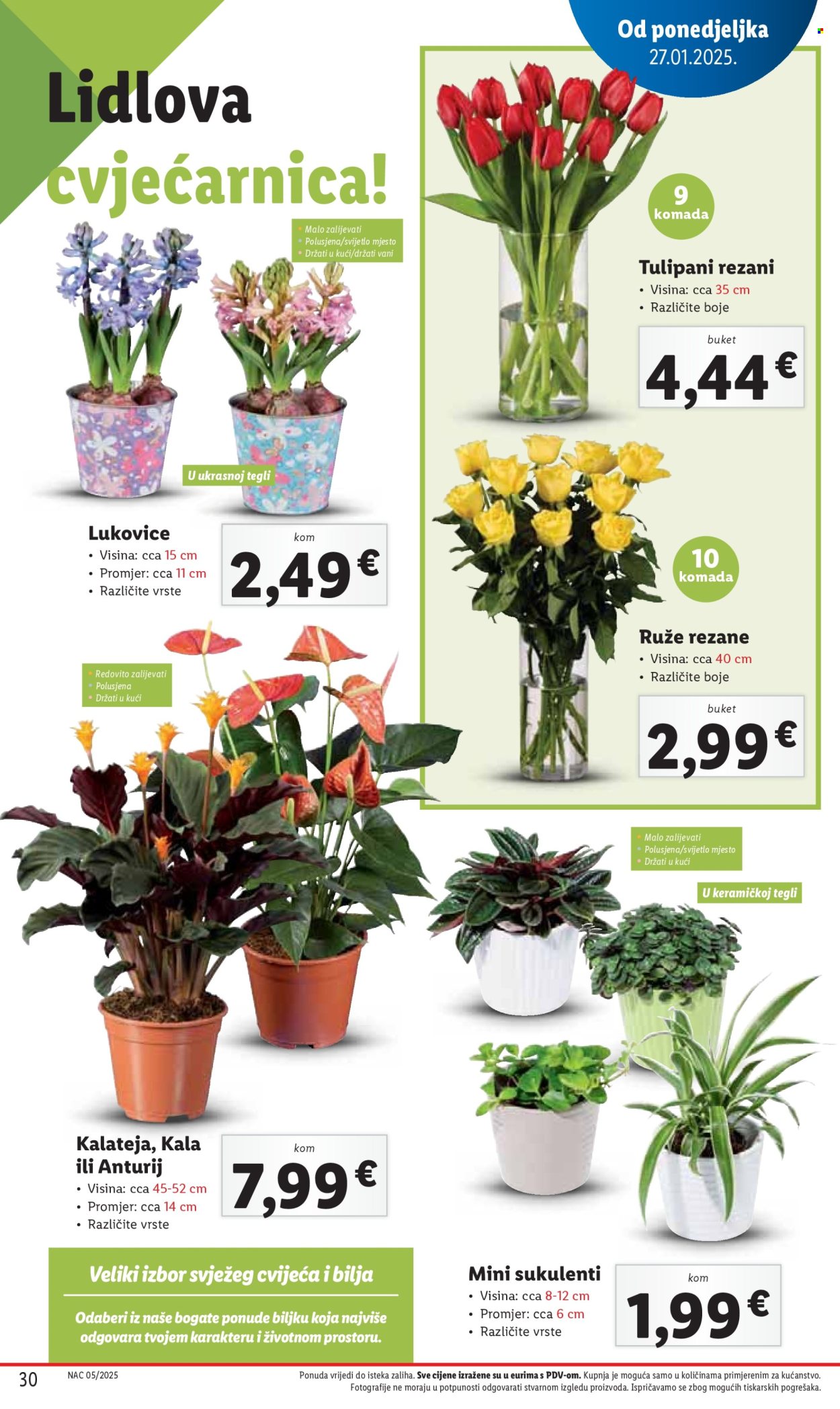 Lidl katalog - 30.01.2025. - 02.02.2025. Stranica 30