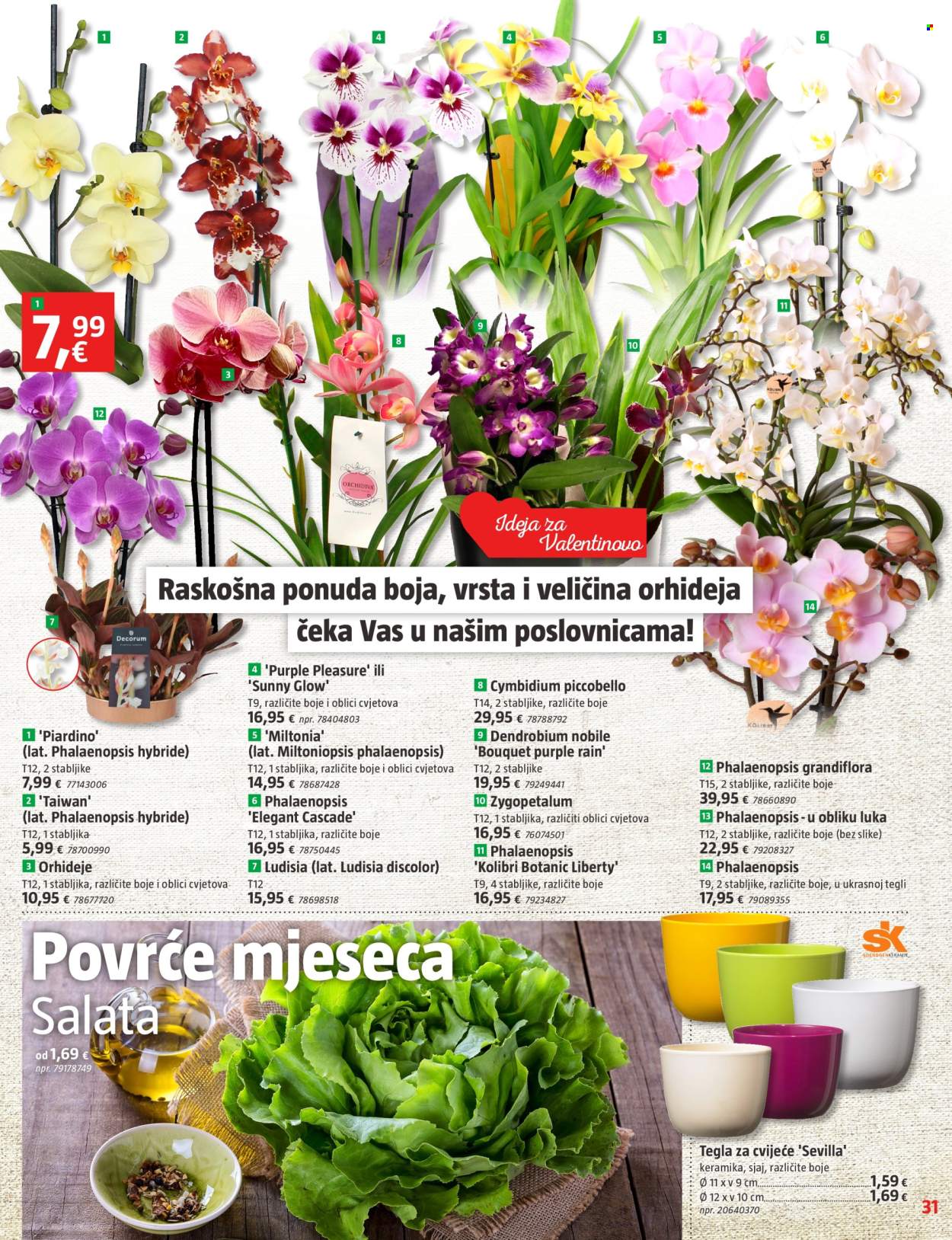 Bauhaus katalog - 30.01.2025. - 05.03.2025. Stranica 31