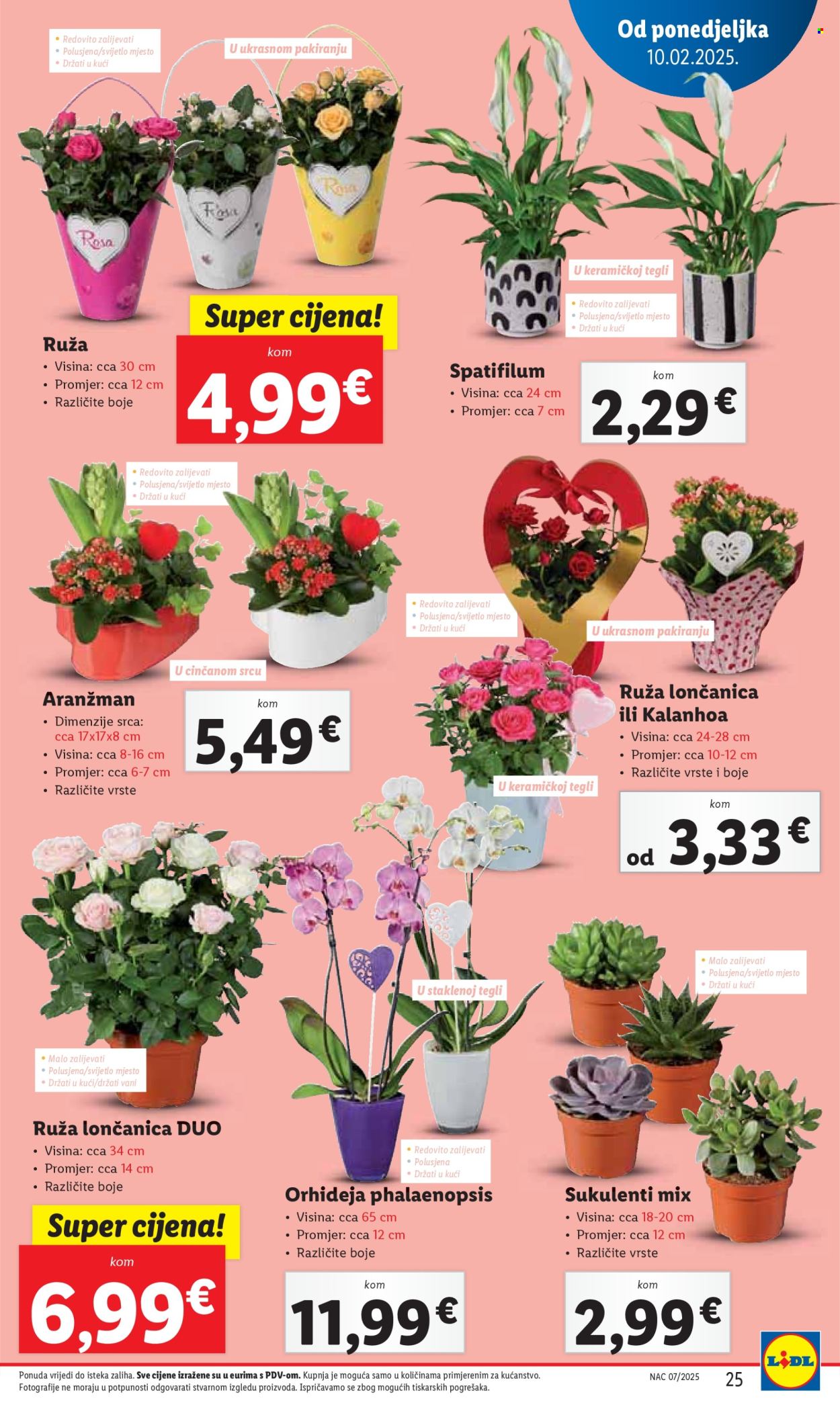 Lidl katalog - 10.02.2025. - 16.02.2025. Stranica 25
