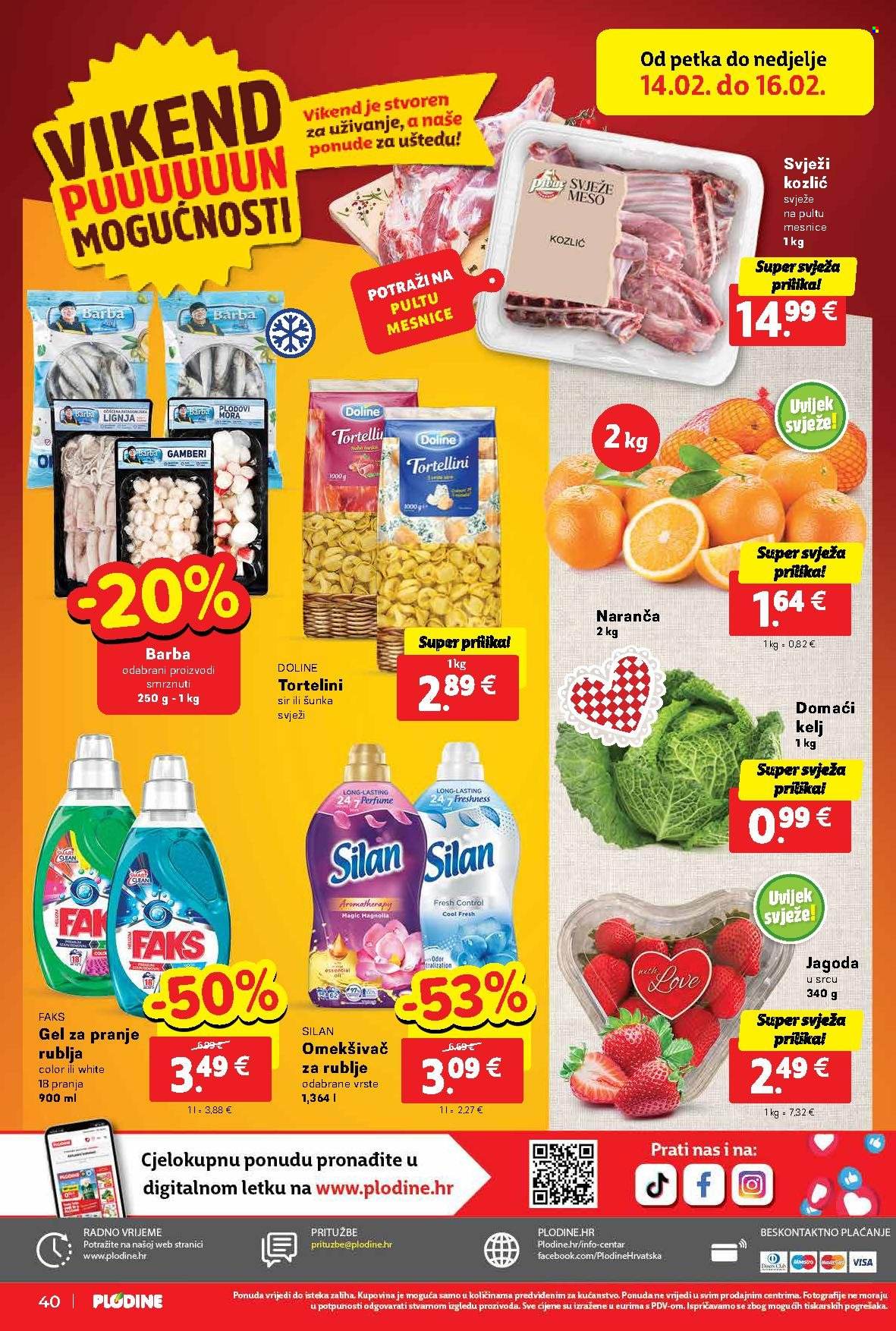 Plodine katalog - 12.02.2025. - 18.02.2025. Stranica 40