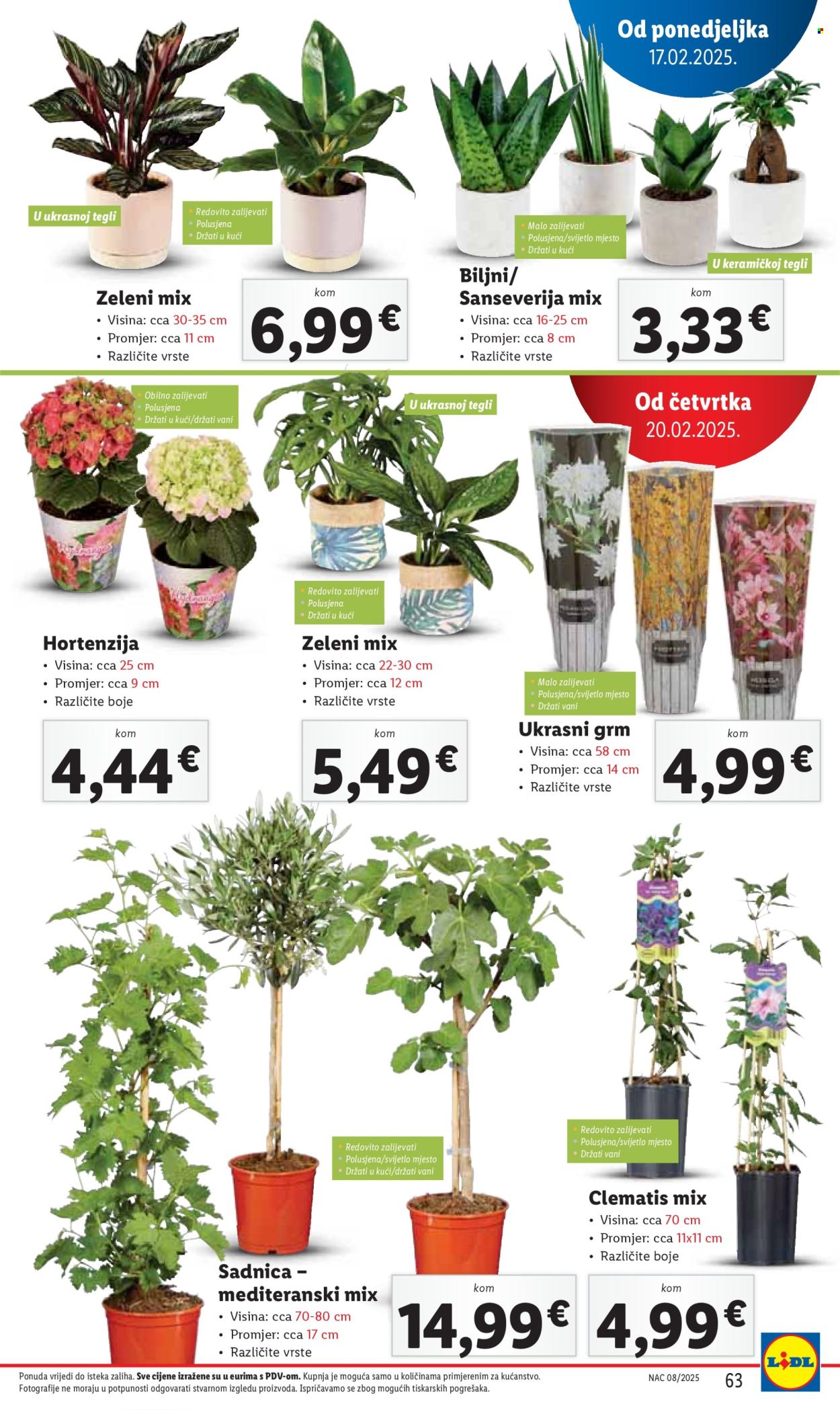 Lidl katalog - 17.02.2025. - 23.02.2025. Stranica 63