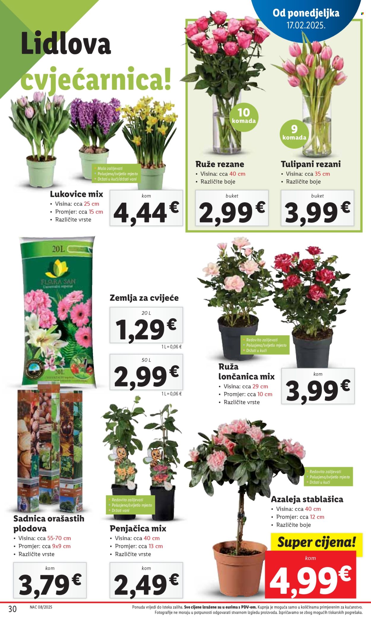 Lidl katalog - 20.02.2025. - 23.02.2025. Stranica 30