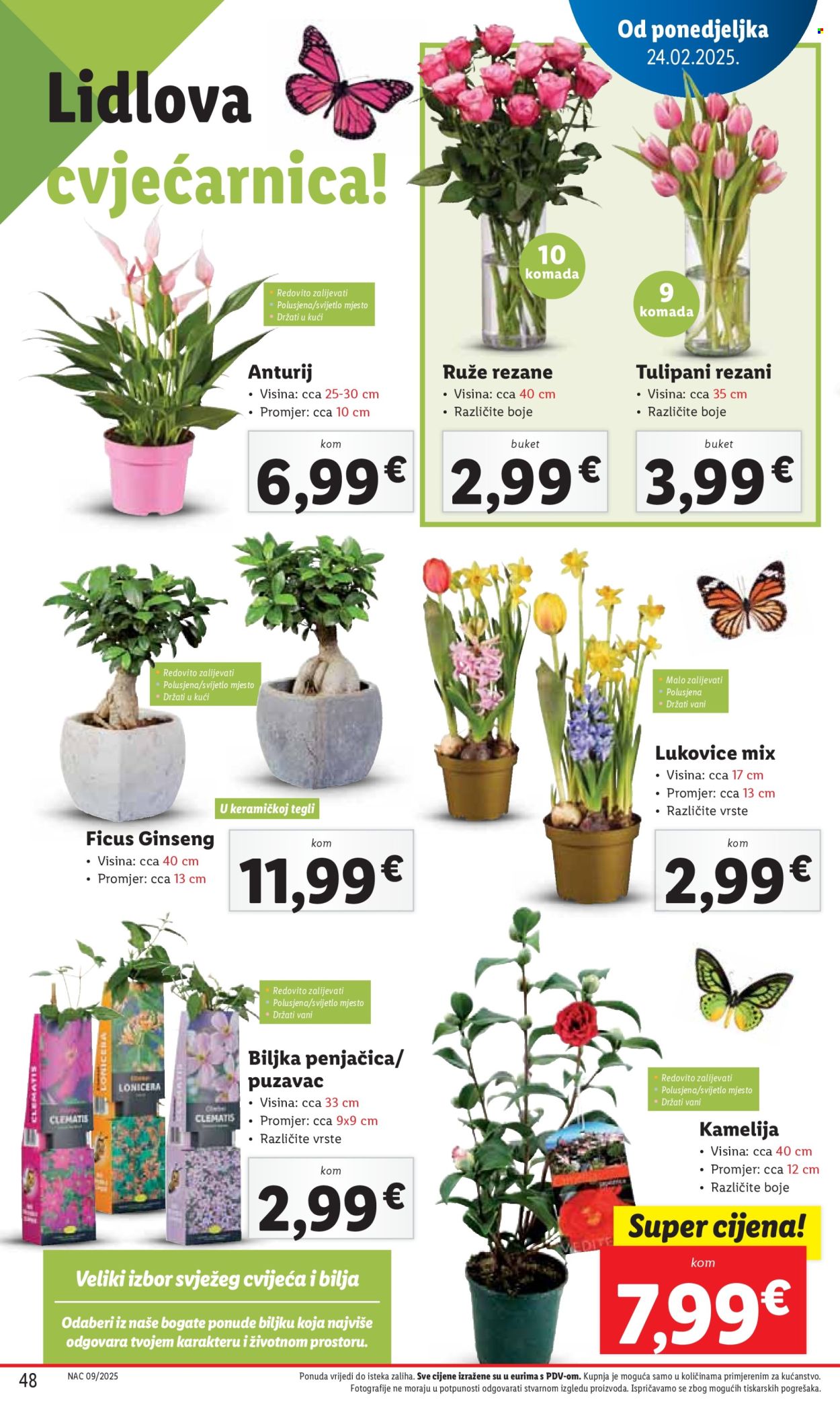 Lidl katalog - 24.02.2025. - 02.03.2025. Stranica 48