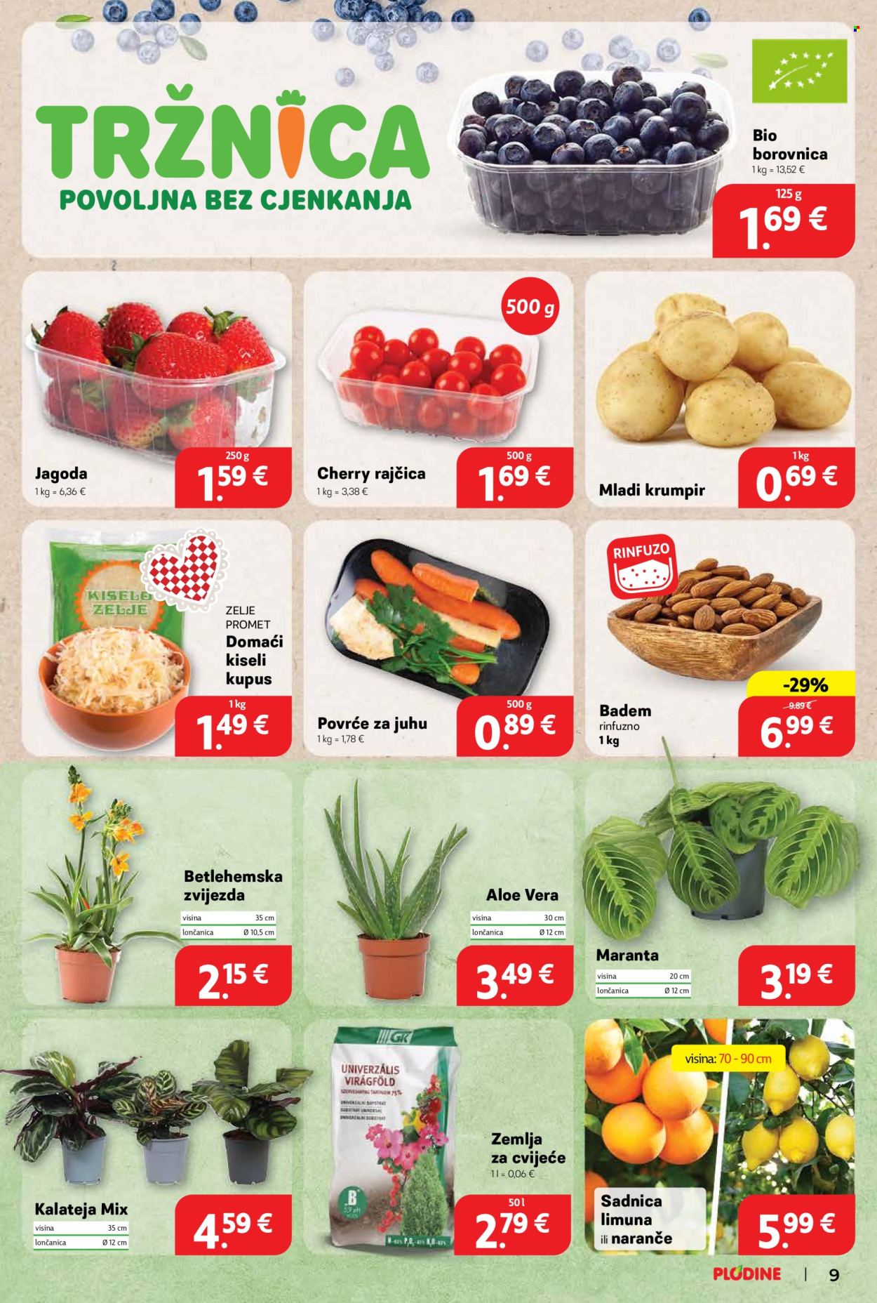 Plodine katalog - 26.02.2025. - 04.03.2025. Stranica 9