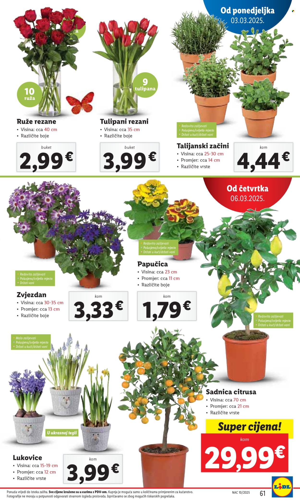 Lidl katalog - 03.03.2025. - 09.03.2025. Stranica 61