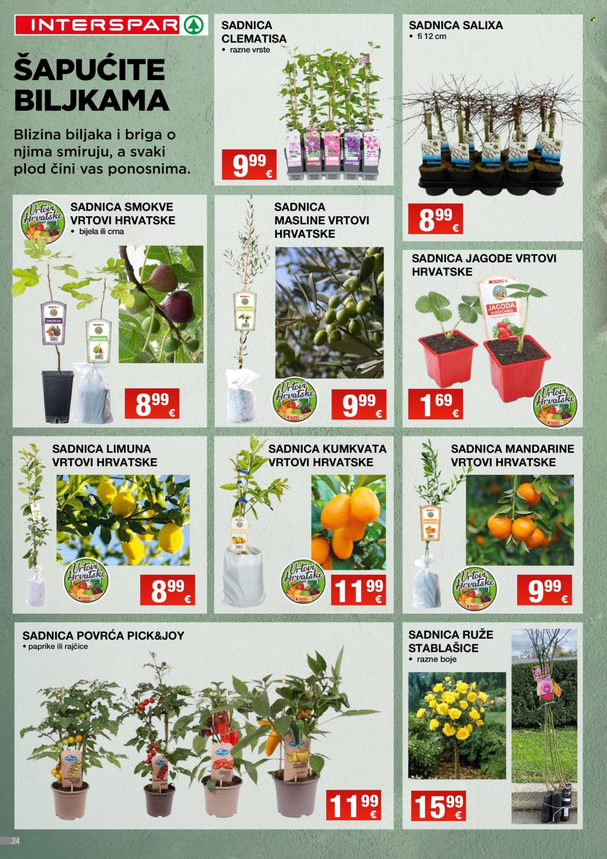 INTERSPAR katalog - 05.03.2025. - 08.04.2025. Stranica 24