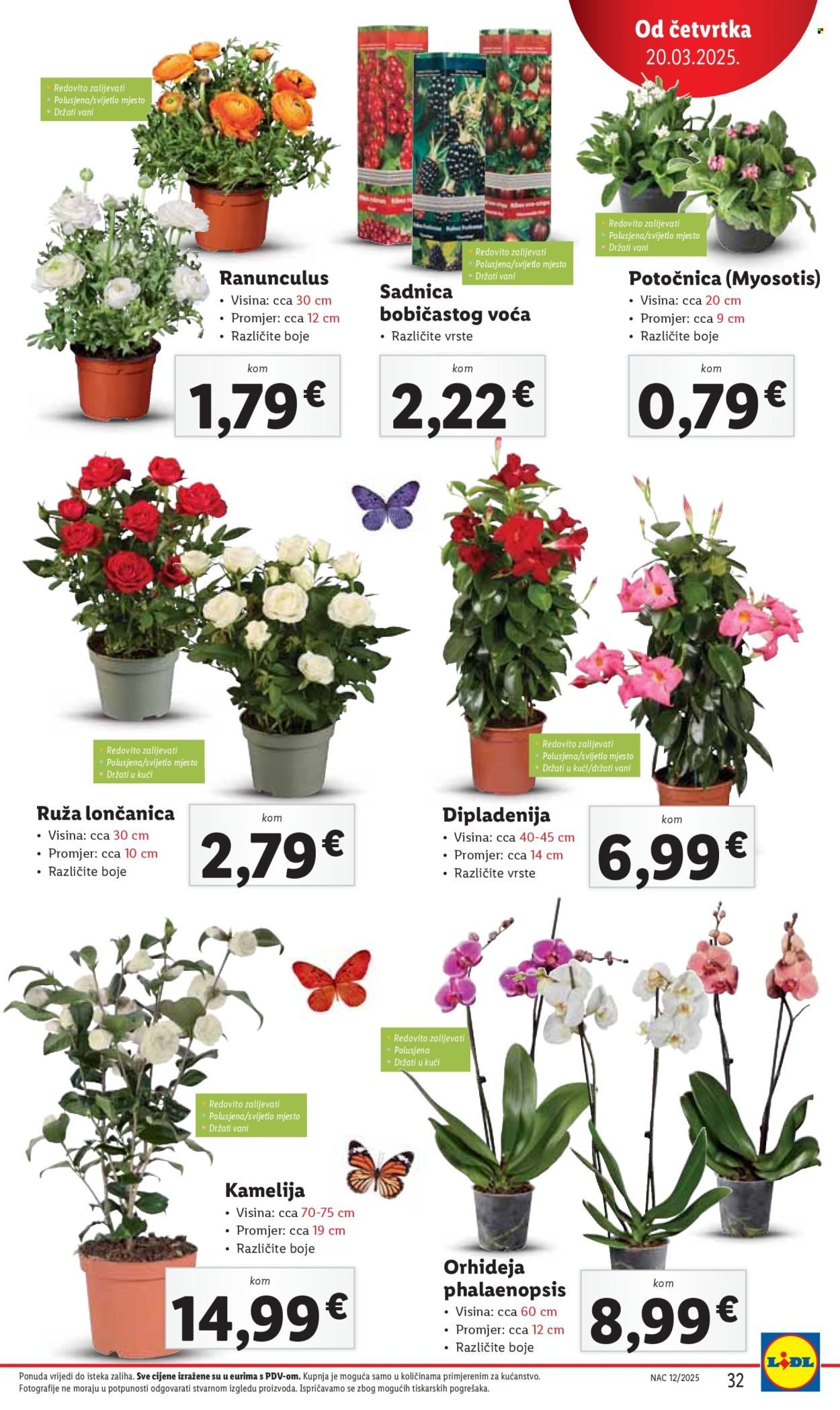 Lidl katalog - 20.03.2025. - 23.03.2025. Stranica 32