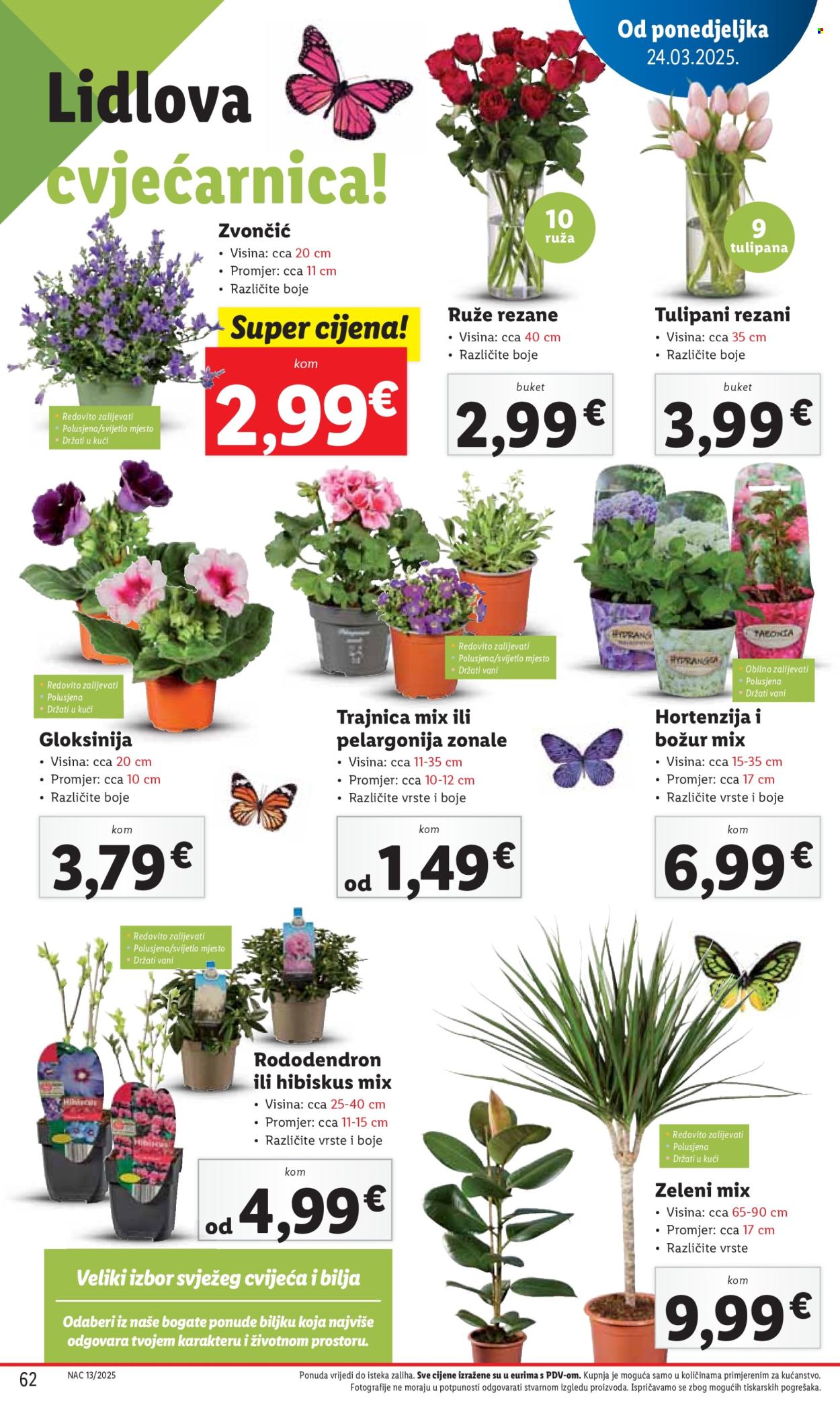 Lidl katalog - 24.03.2025. - 30.03.2025. Stranica 62