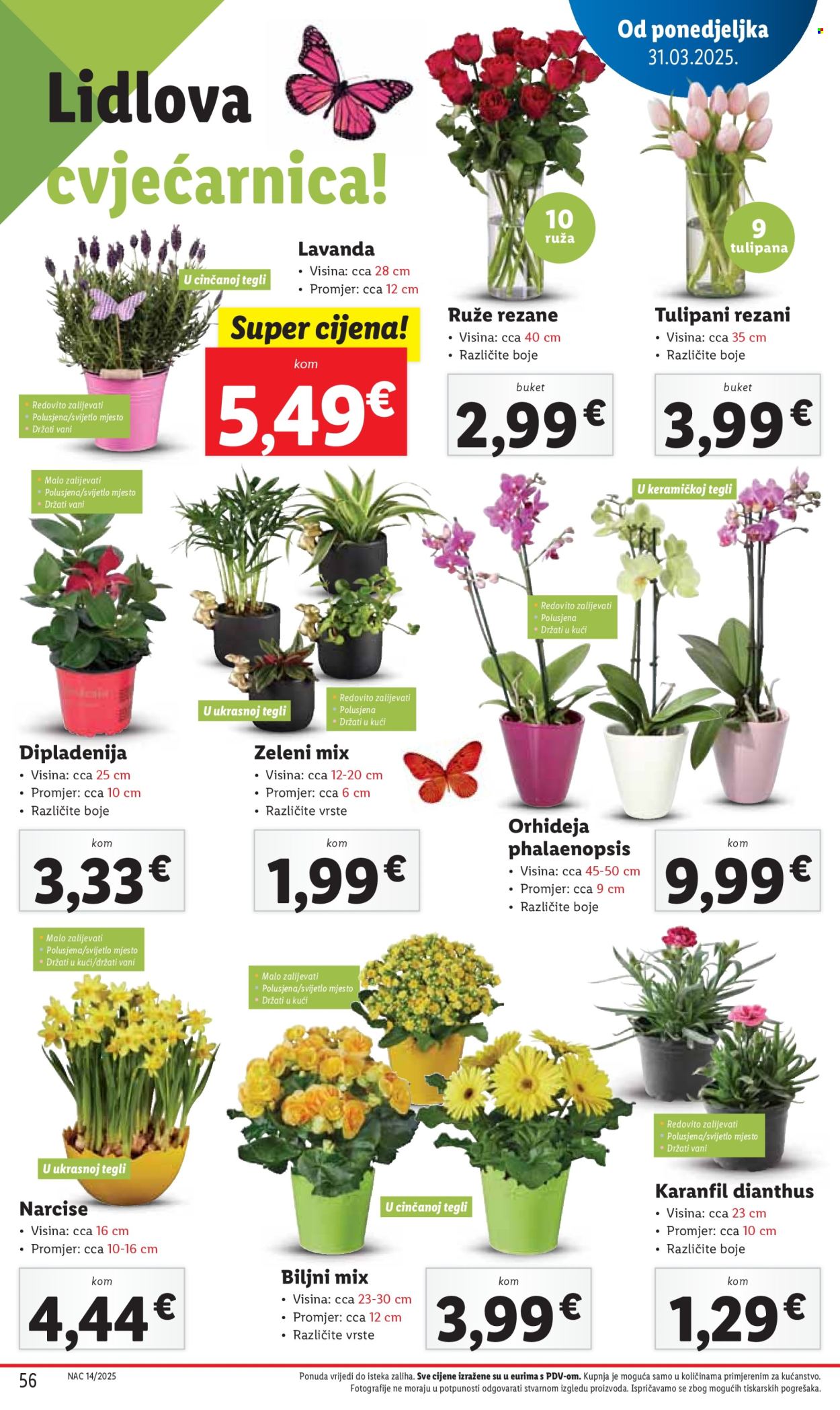 Lidl katalog - 31.03.2025. - 06.04.2025. Stranica 56