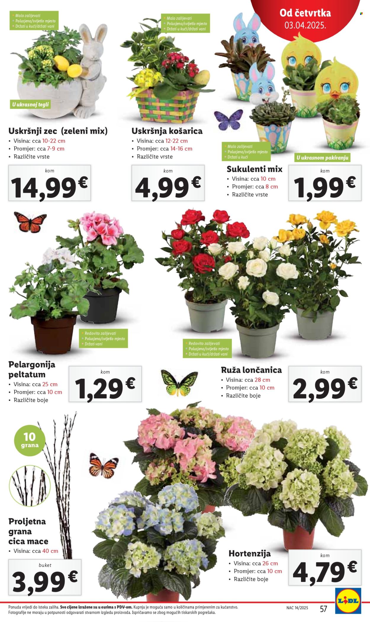Lidl katalog - 31.03.2025. - 06.04.2025. Stranica 57
