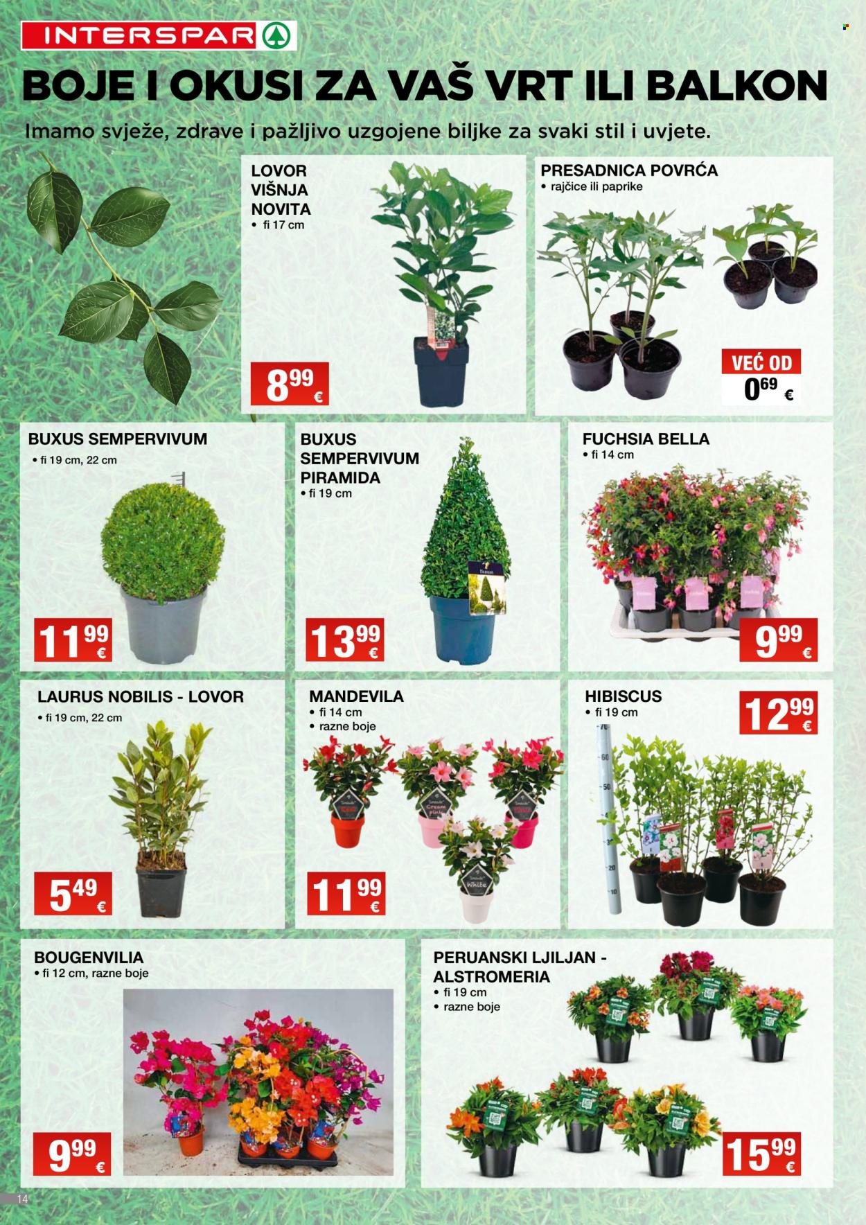 INTERSPAR katalog - 02.04.2025. - 06.05.2025. Stranica 14