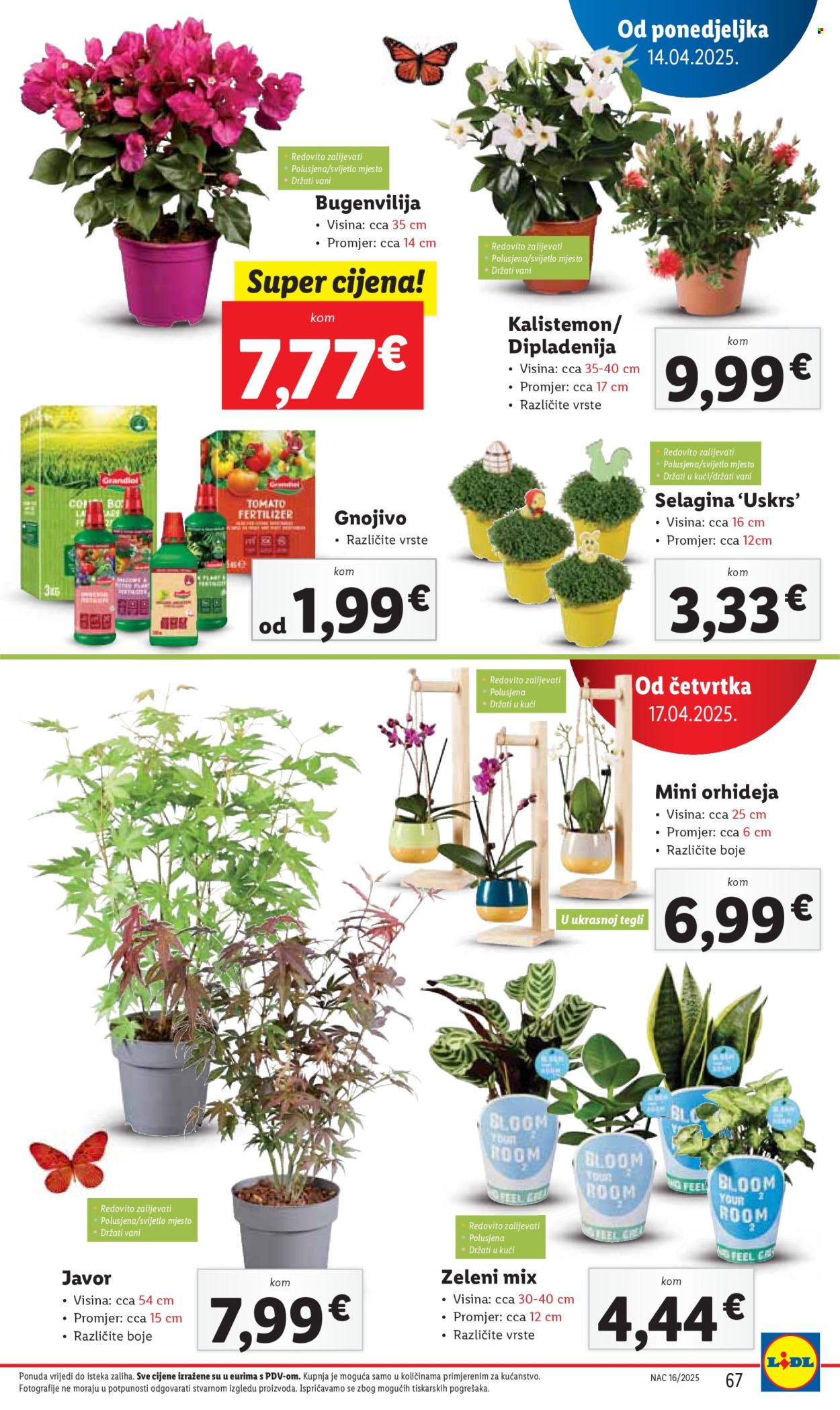 Lidl katalog - 14.04.2025. - 19.04.2025. Stranica 67