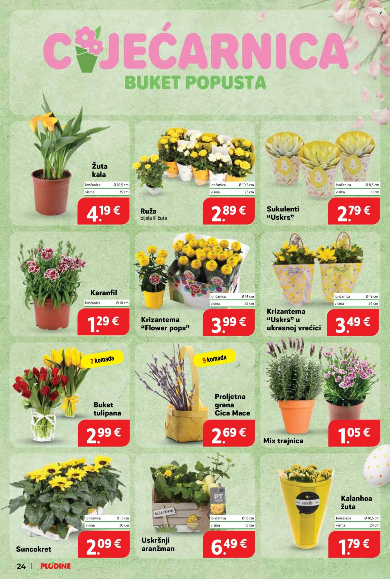 Plodine katalog - 16.04.2025. - 22.04.2025. Stranica 24
