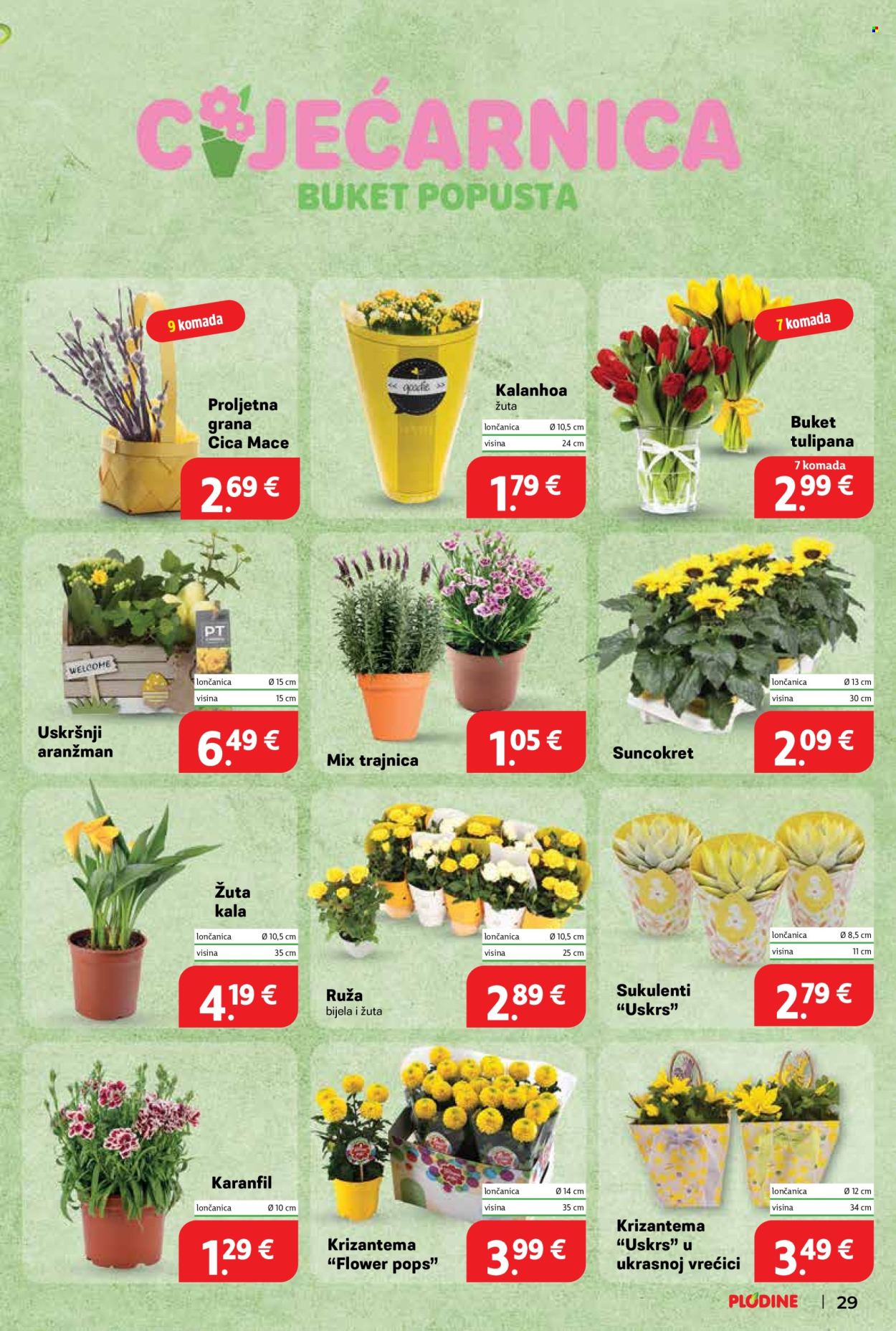 Plodine katalog - 16.04.2025. - 22.04.2025. Stranica 29