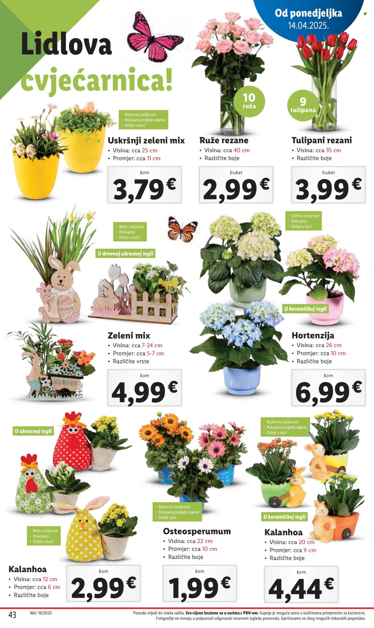 Lidl katalog - 17.04.2025. - 19.04.2025. Stranica 43