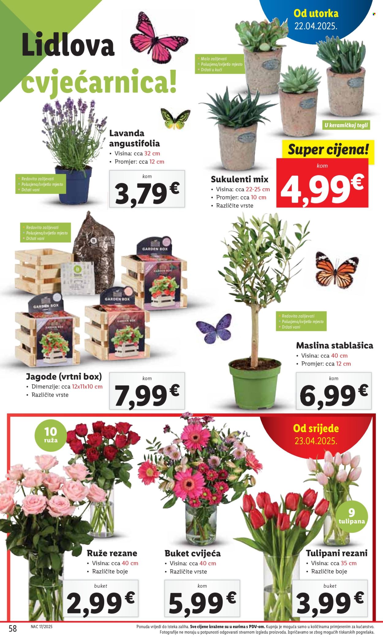 Lidl katalog - 22.04.2025. - 27.04.2025. Stranica 58