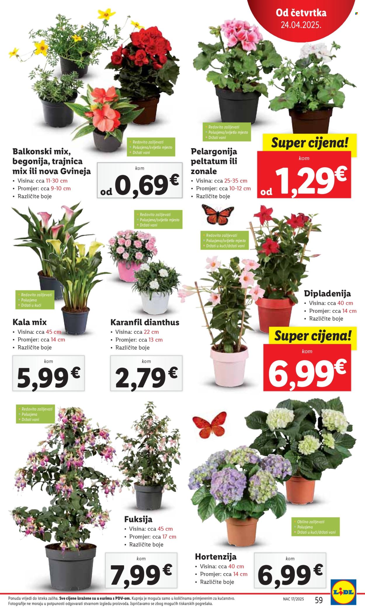 Lidl katalog - 22.04.2025. - 27.04.2025. Stranica 59