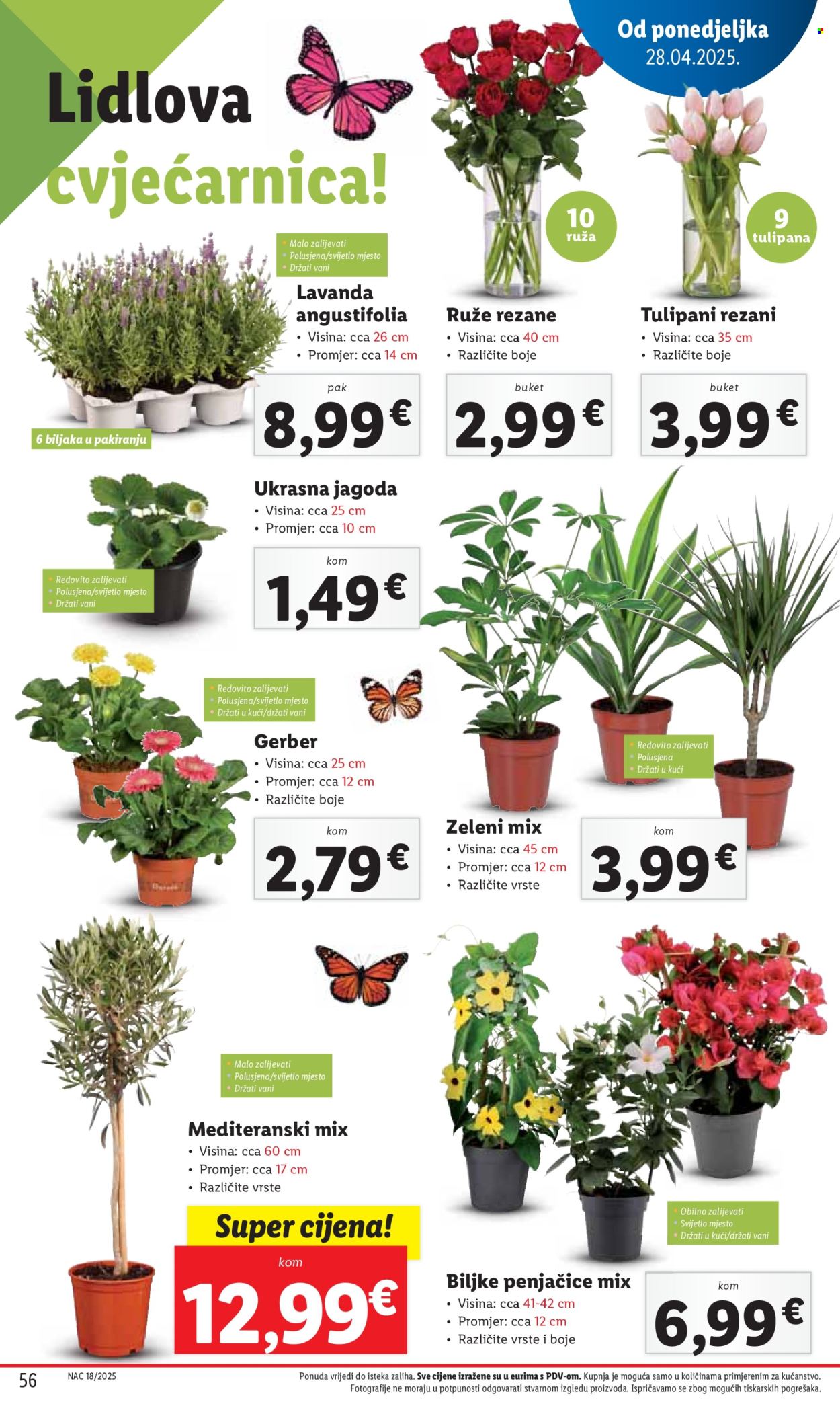 Lidl katalog - 28.04.2025. - 04.05.2025. Stranica 56