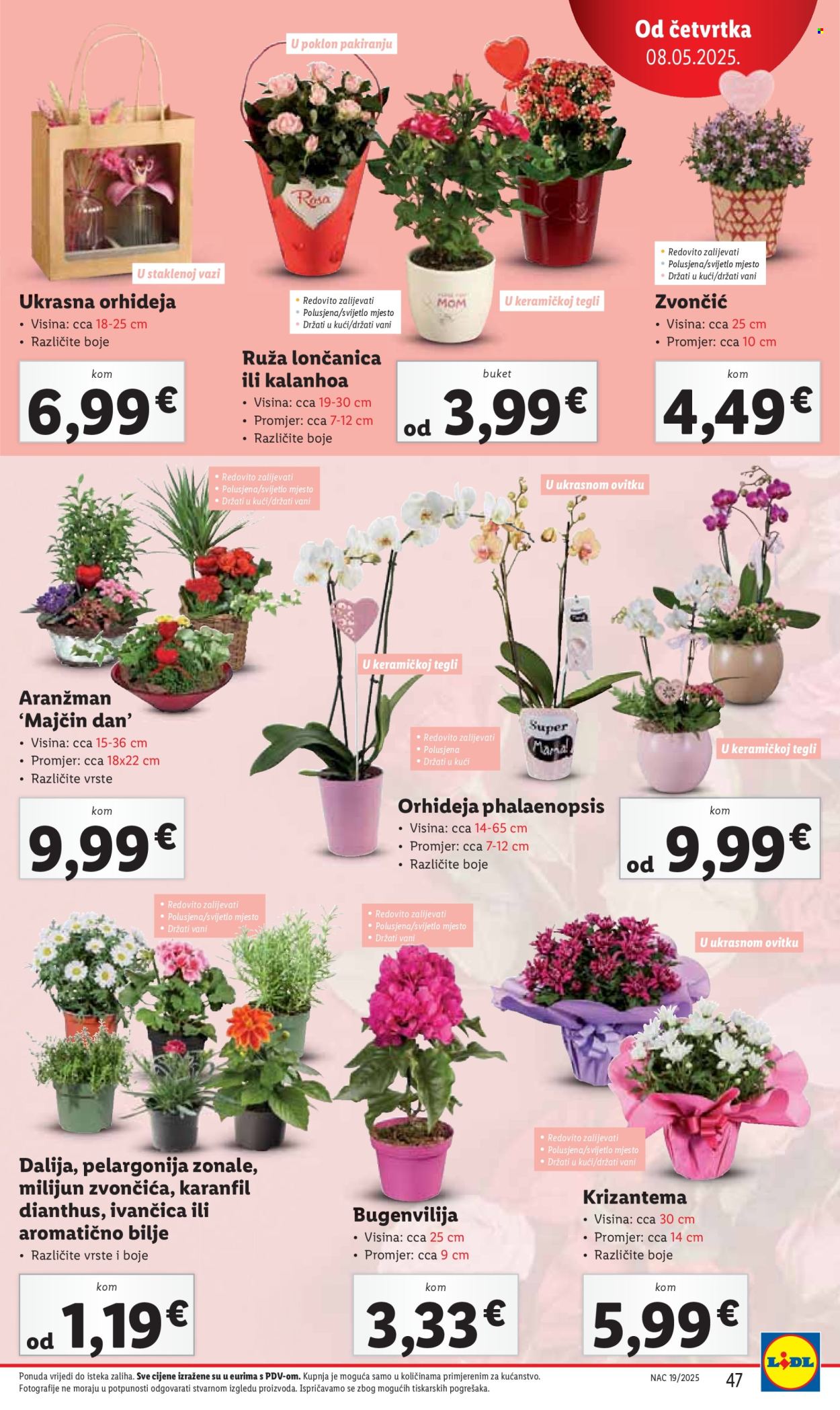 Lidl katalog - 05.05.2025. - 11.05.2025. Stranica 47