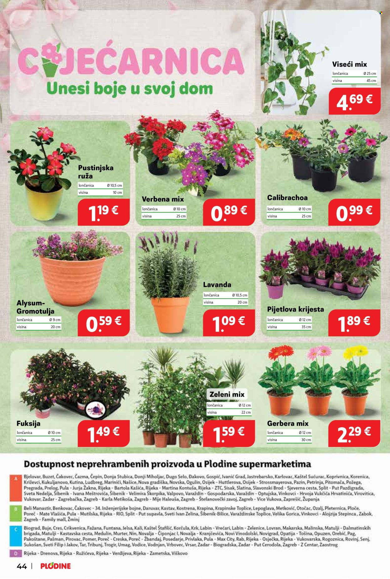 Plodine katalog - 21.05.2025. - 27.05.2025. Stranica 44