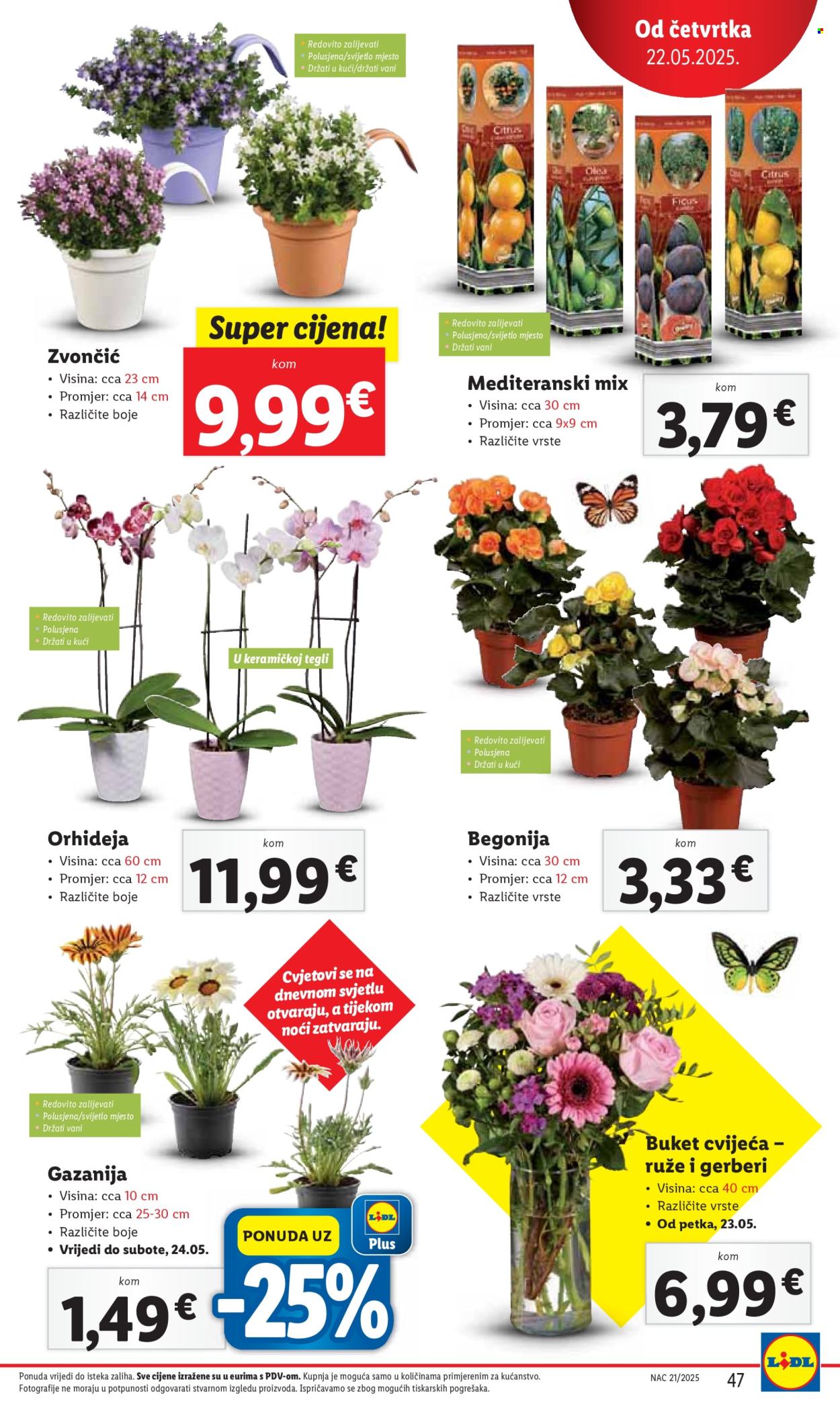 Lidl katalog - 22.05.2025. - 25.05.2025. Stranica 47