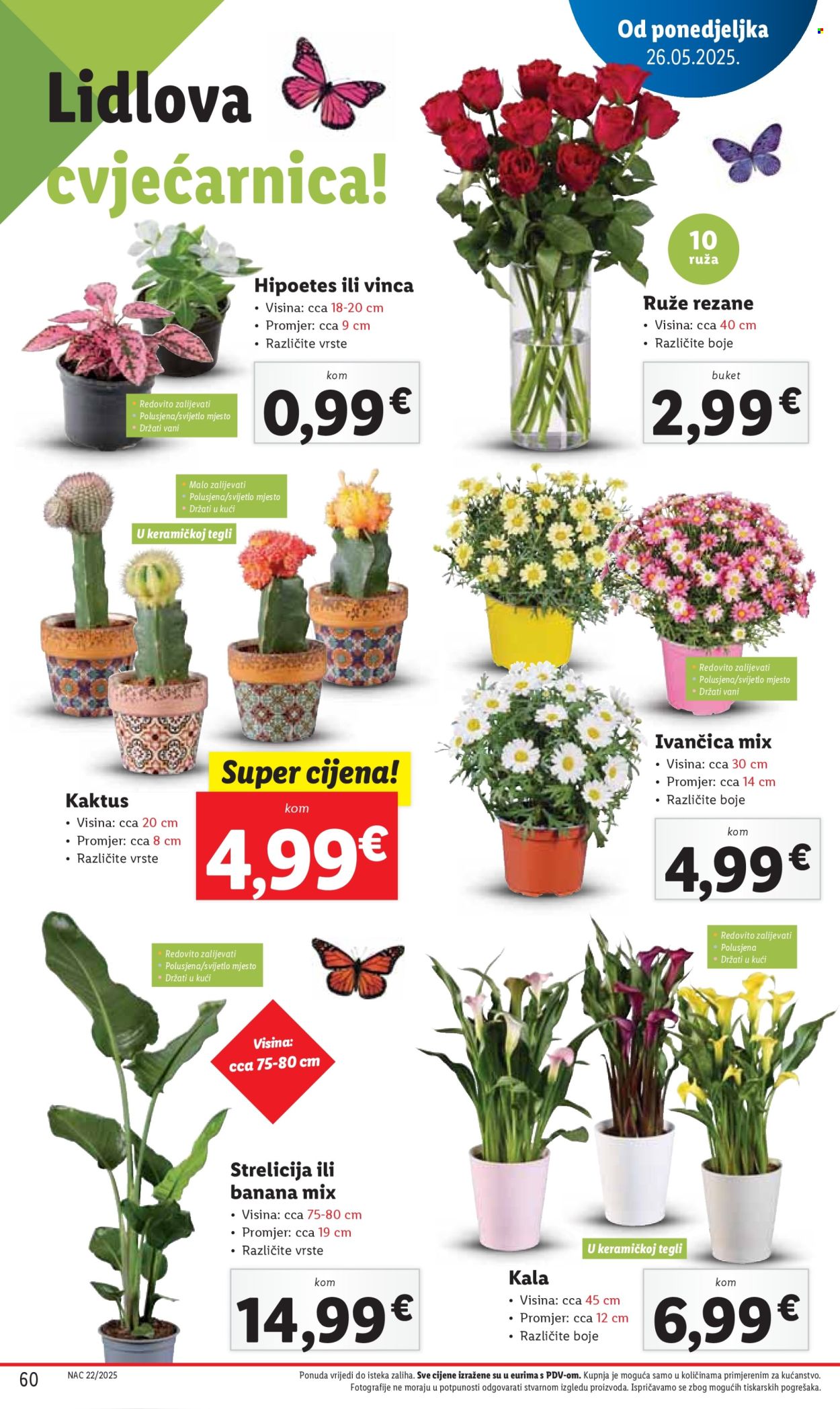 Lidl katalog - 26.05.2025. - 01.06.2025. Stranica 60