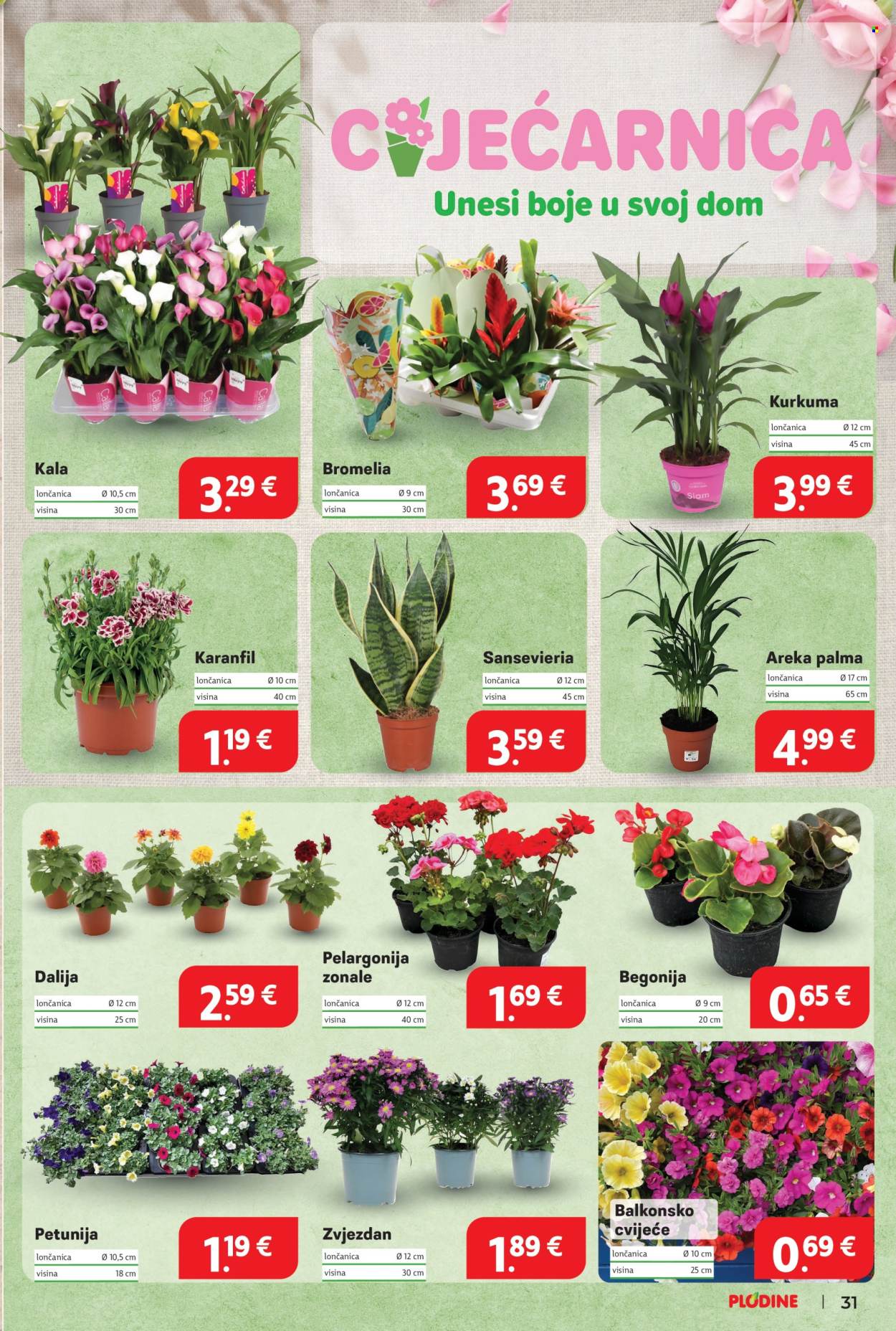 Plodine katalog - 28.05.2025. - 03.06.2025. Stranica 31